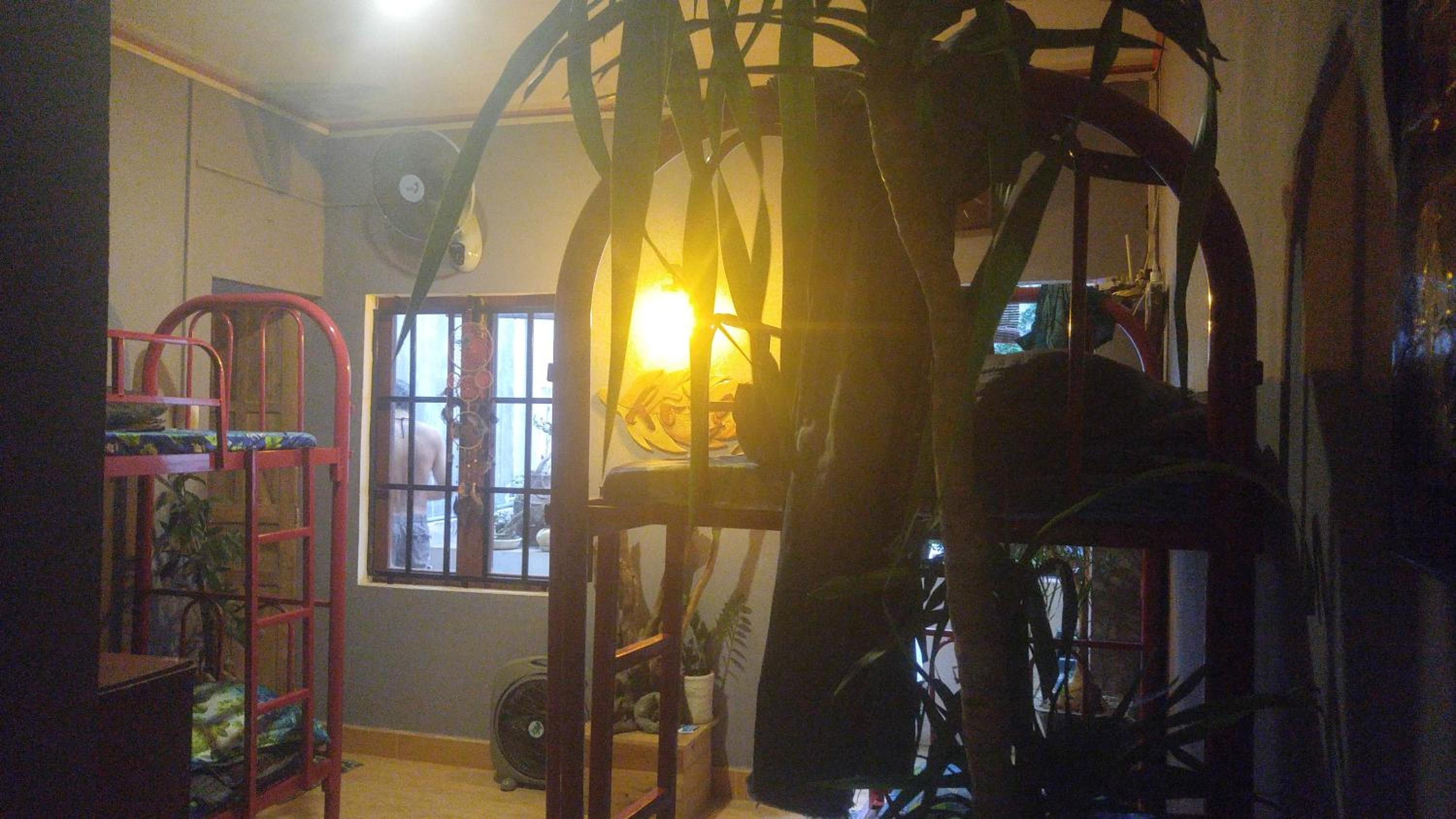 Photo 40