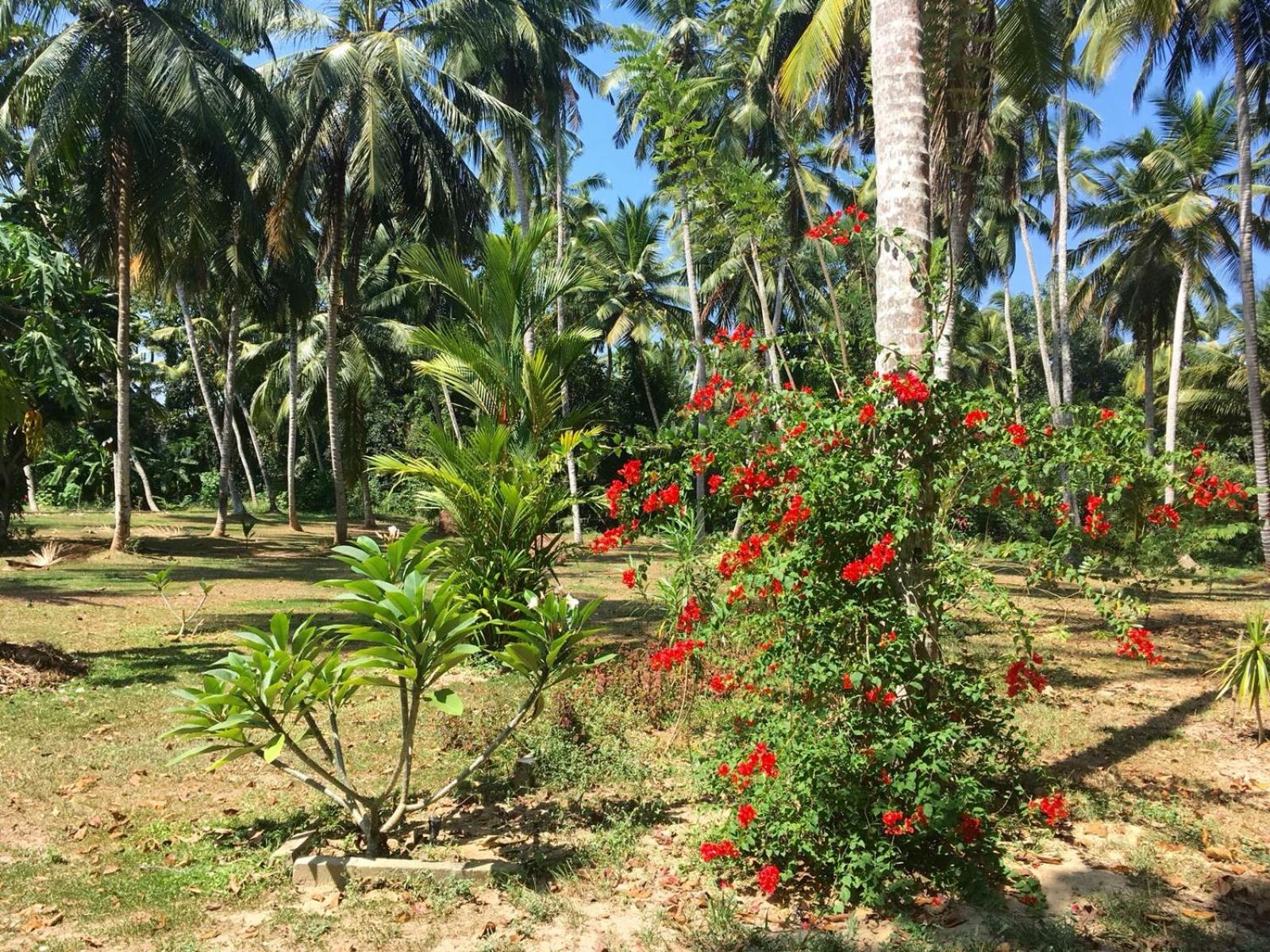Anuhas Airport Villas