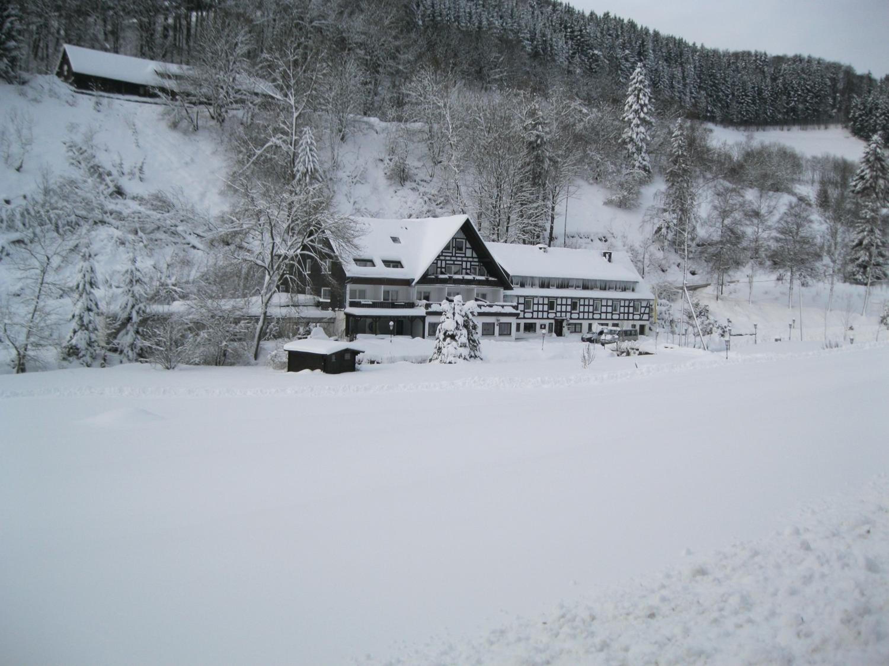 Photo 7