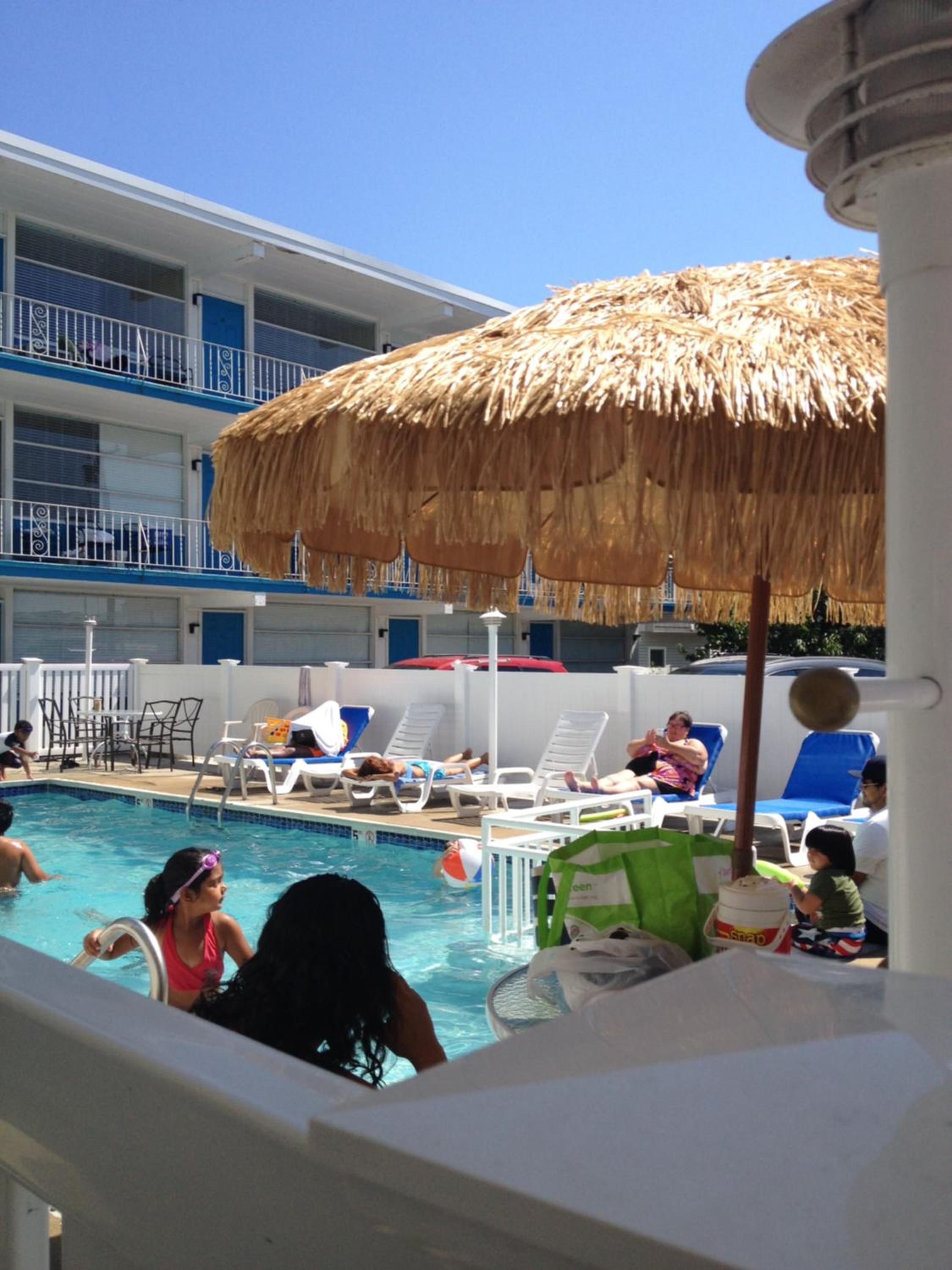 Bird of Paradise Motel
