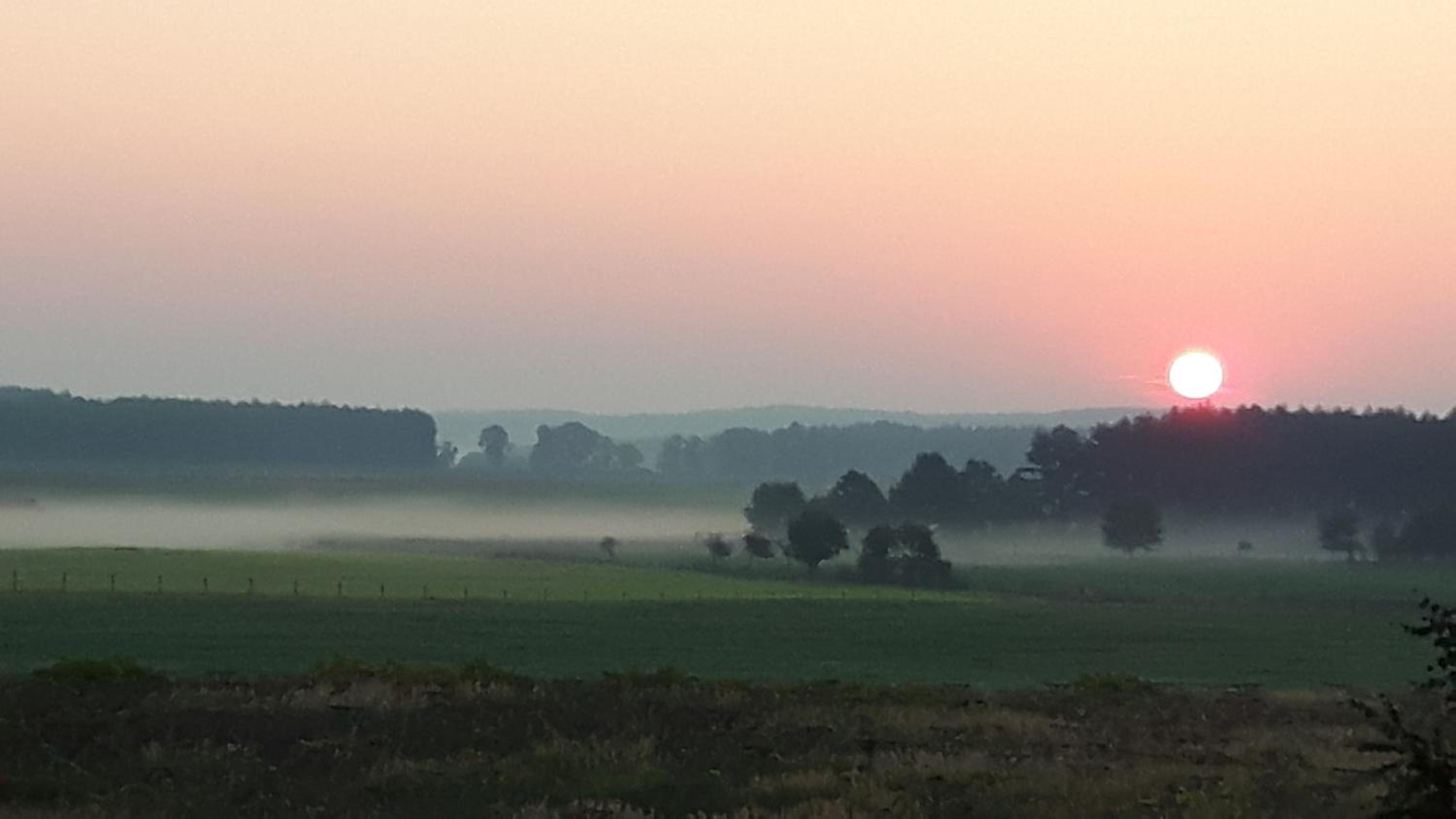 Winnica Dębogóra