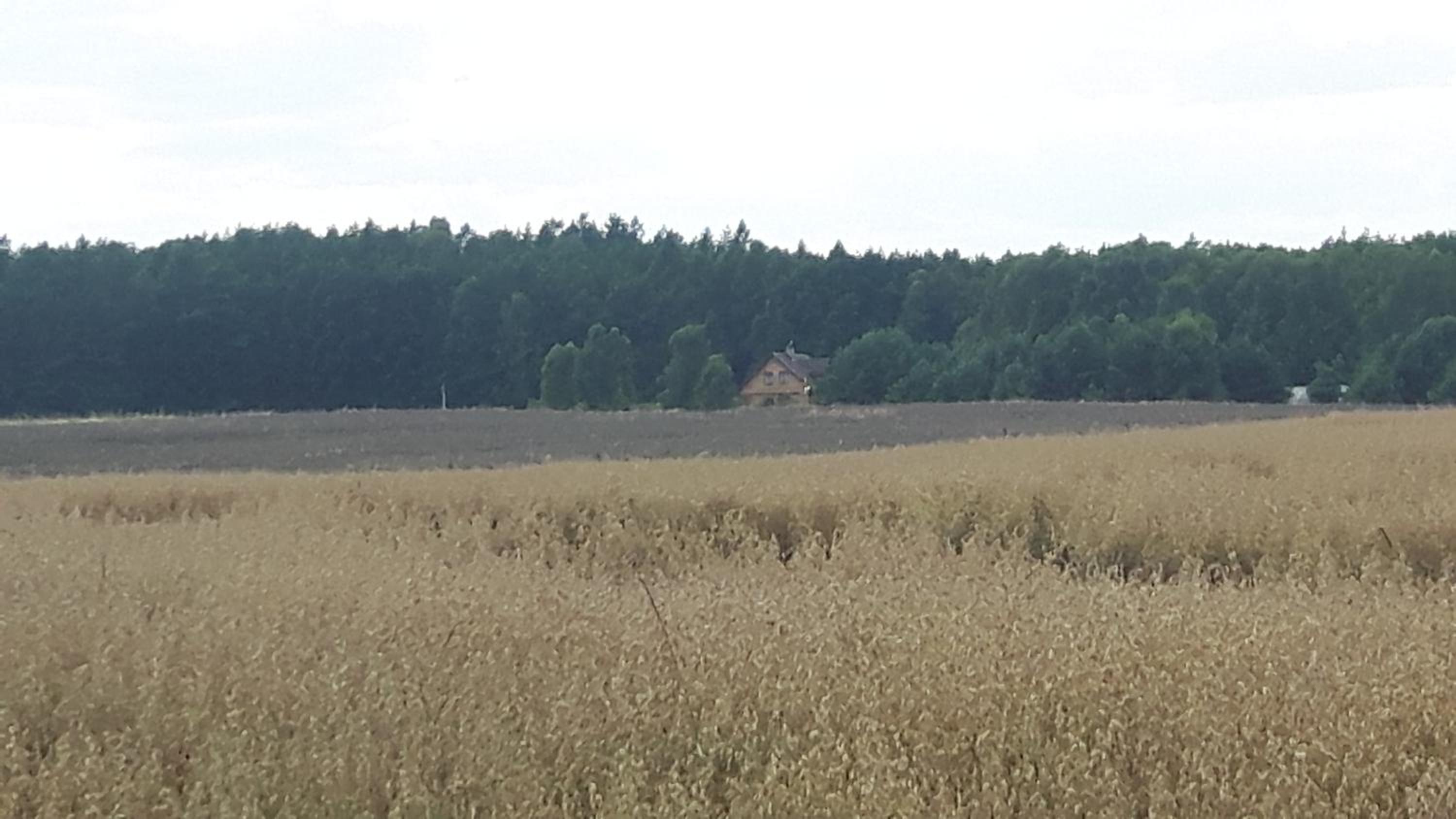 Winnica Dębogóra
