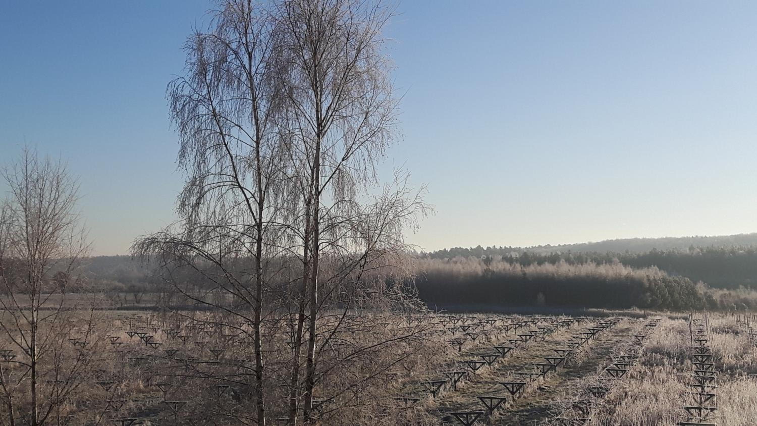 Winnica Dębogóra