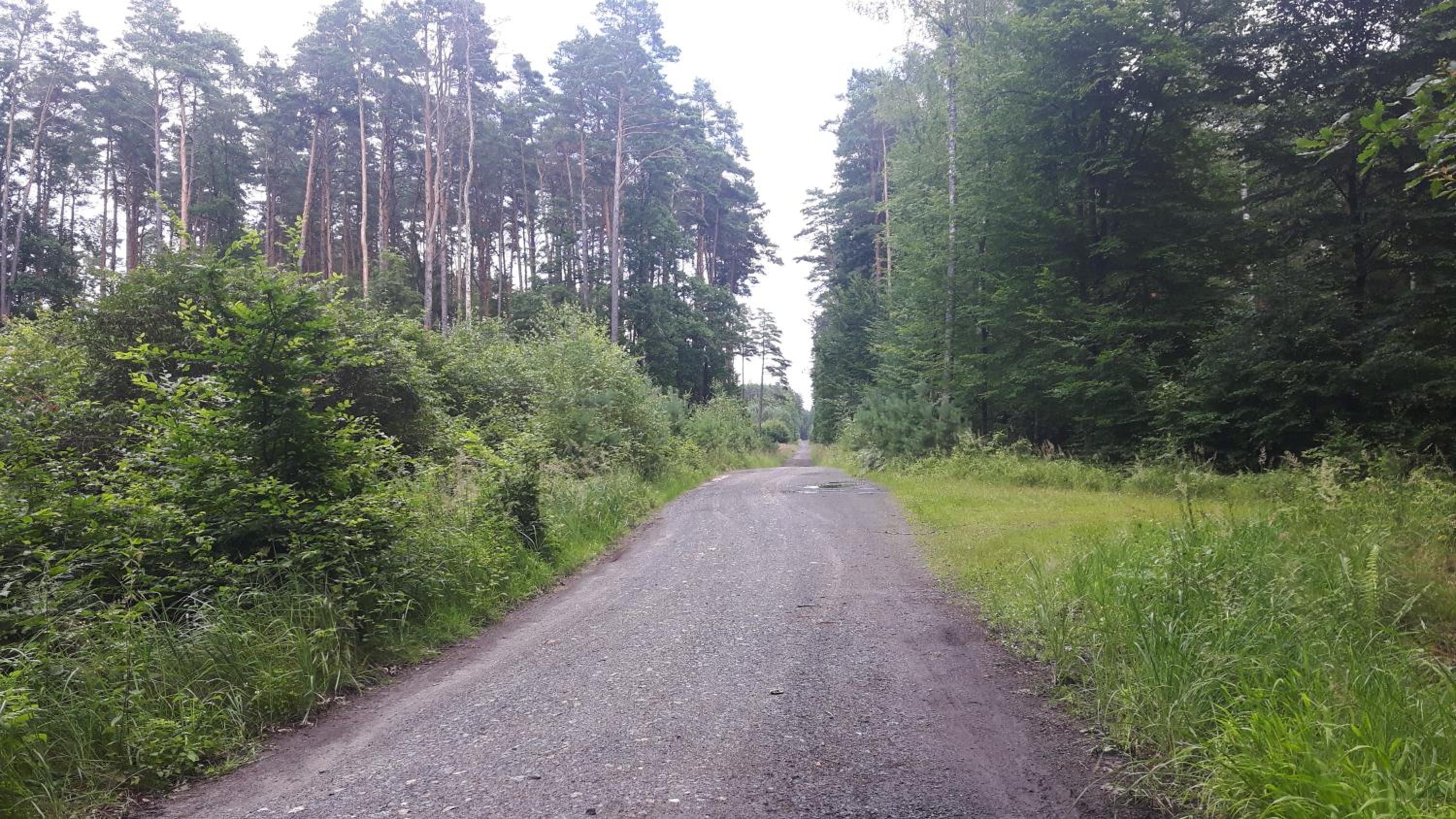 Winnica Dębogóra