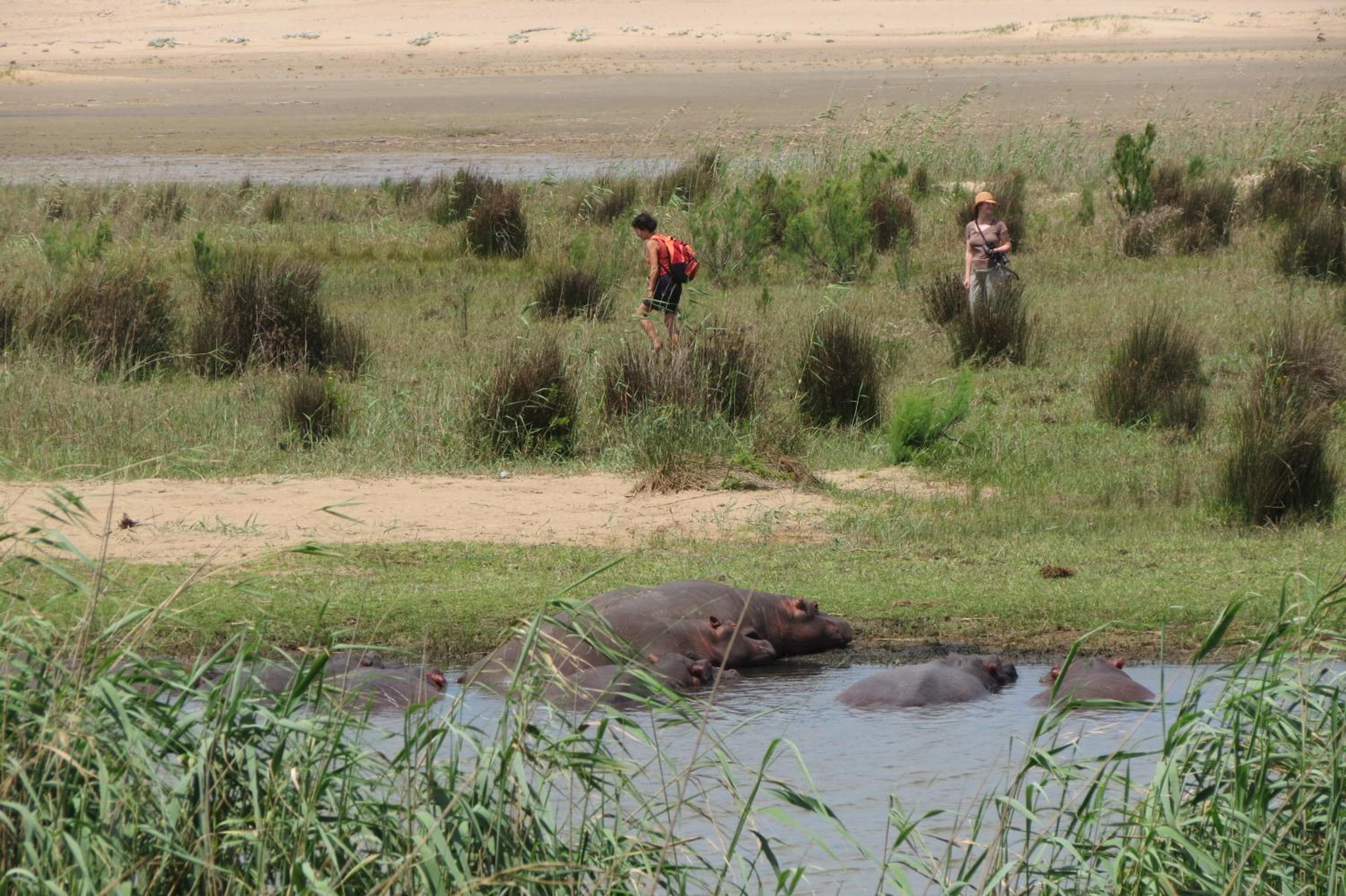 Lodge Afrique
