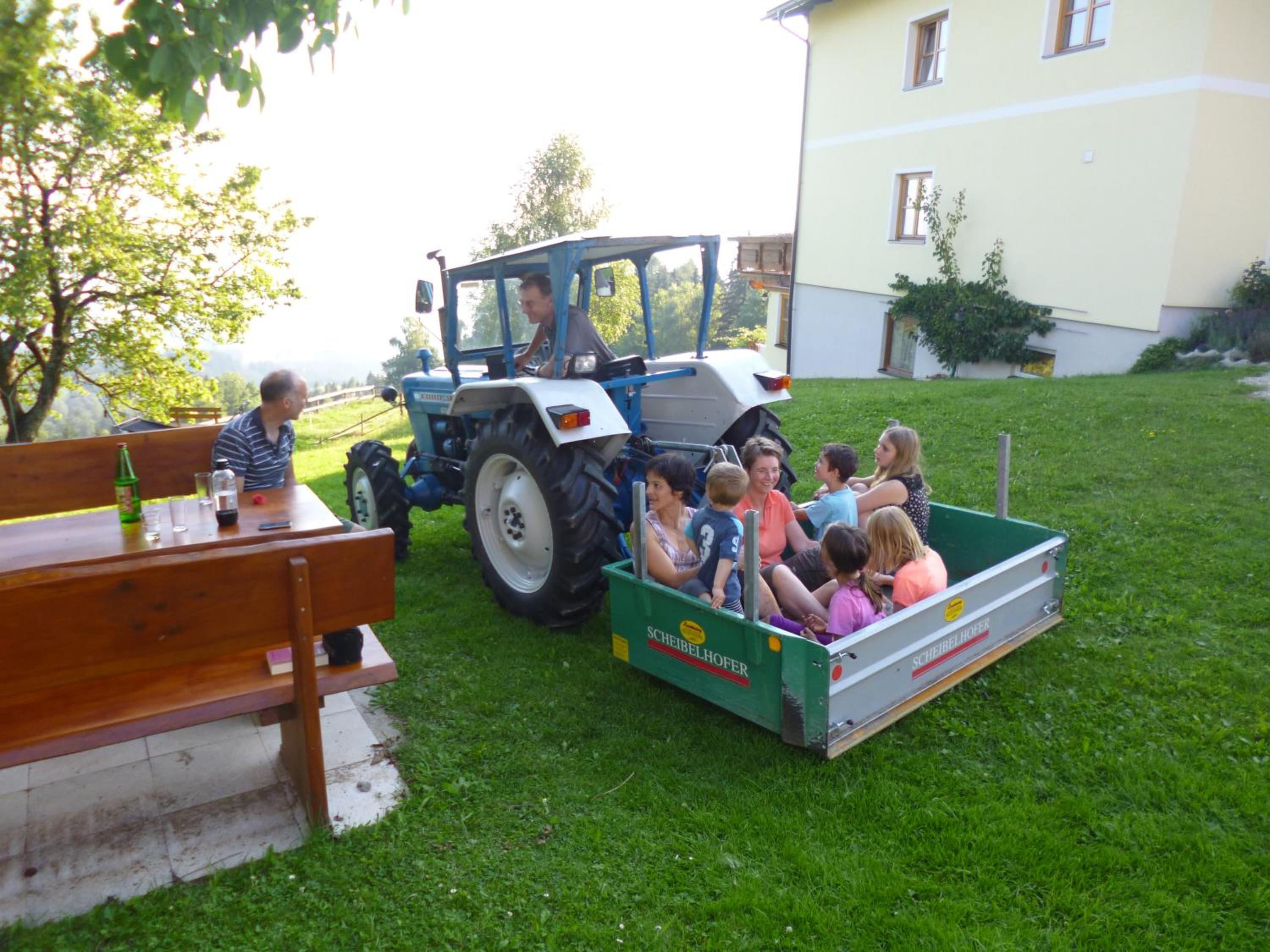 Photo 40