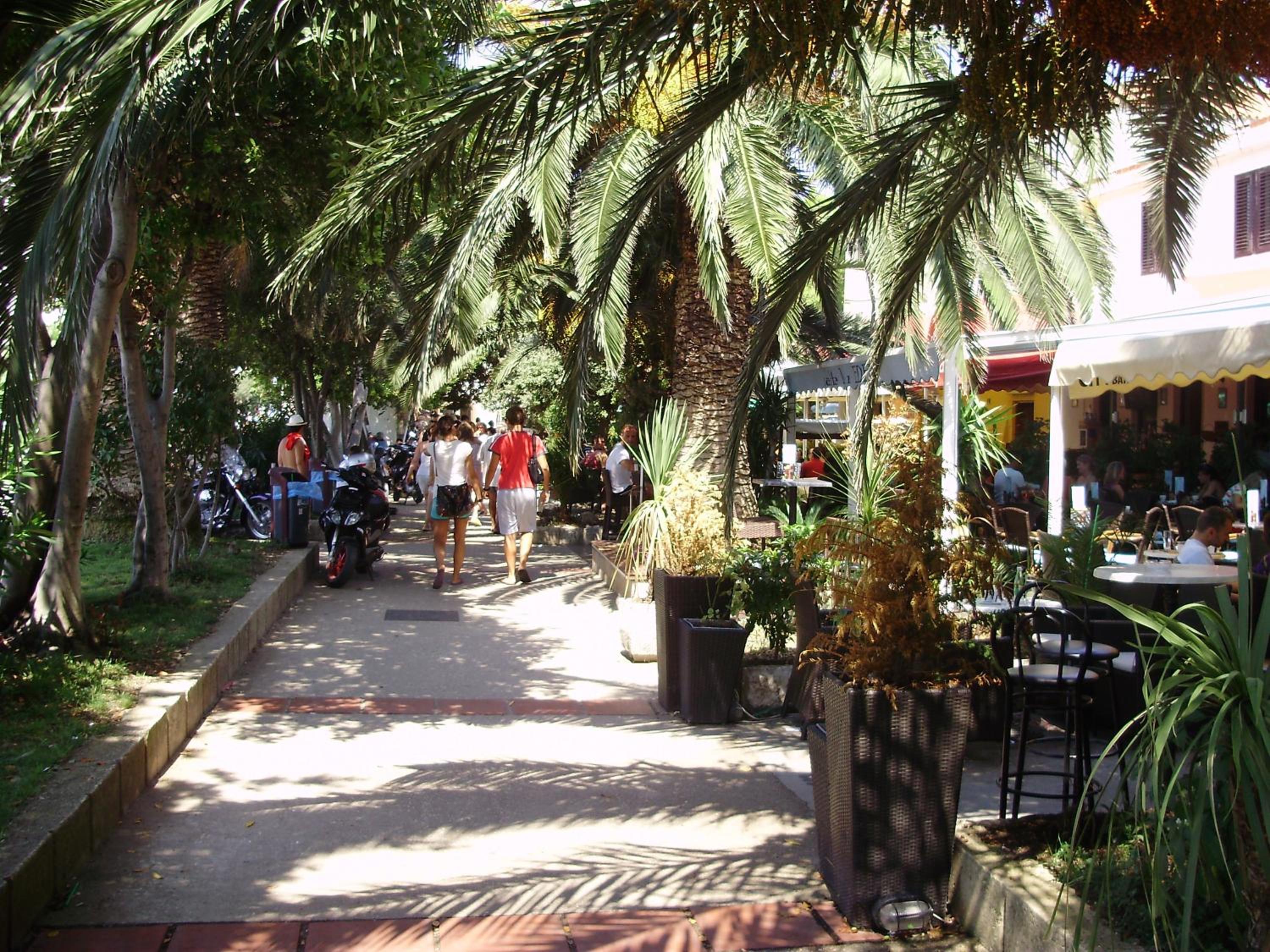 Photo 40