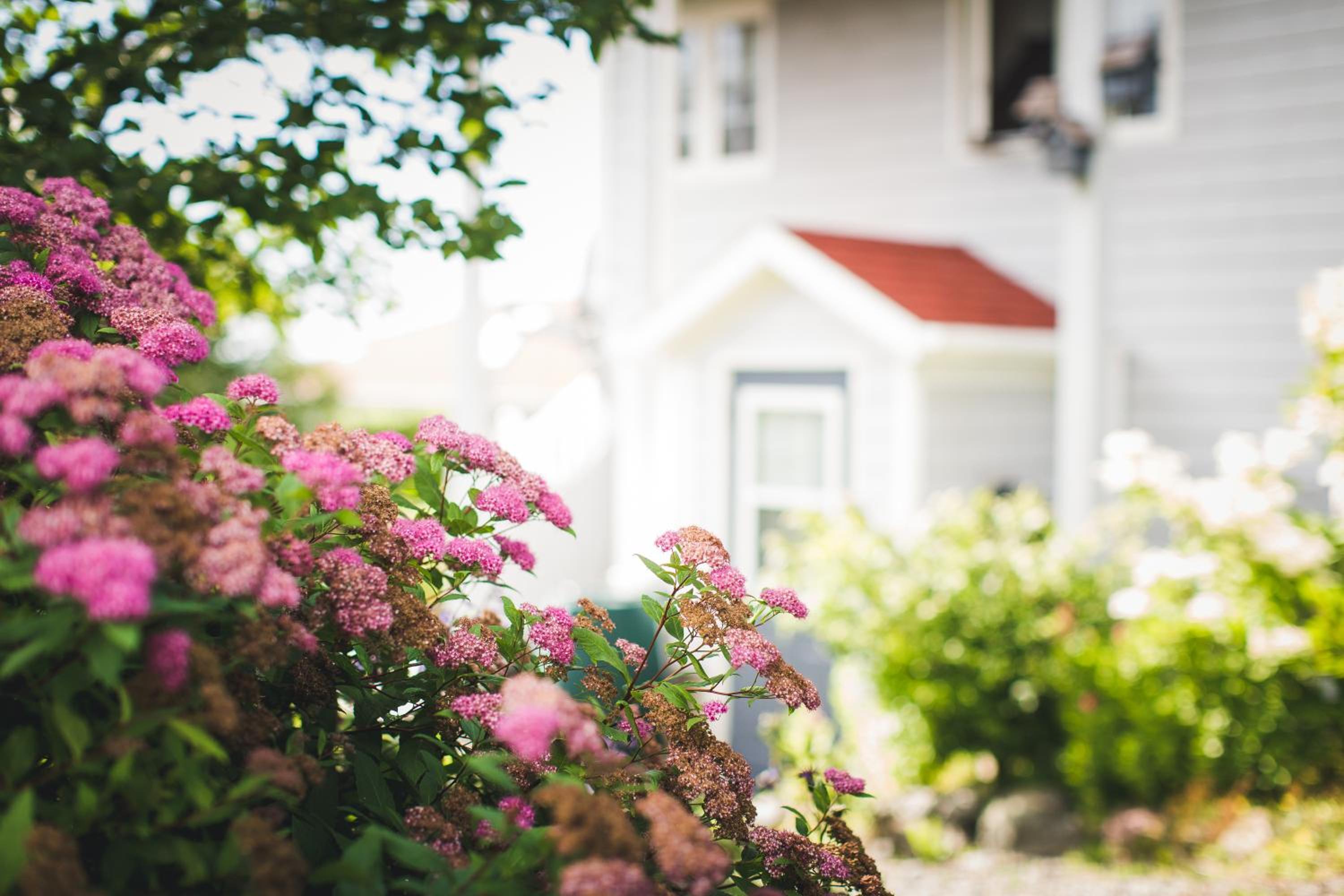 Abbie's Garden Bed & Breakfast Incorporated