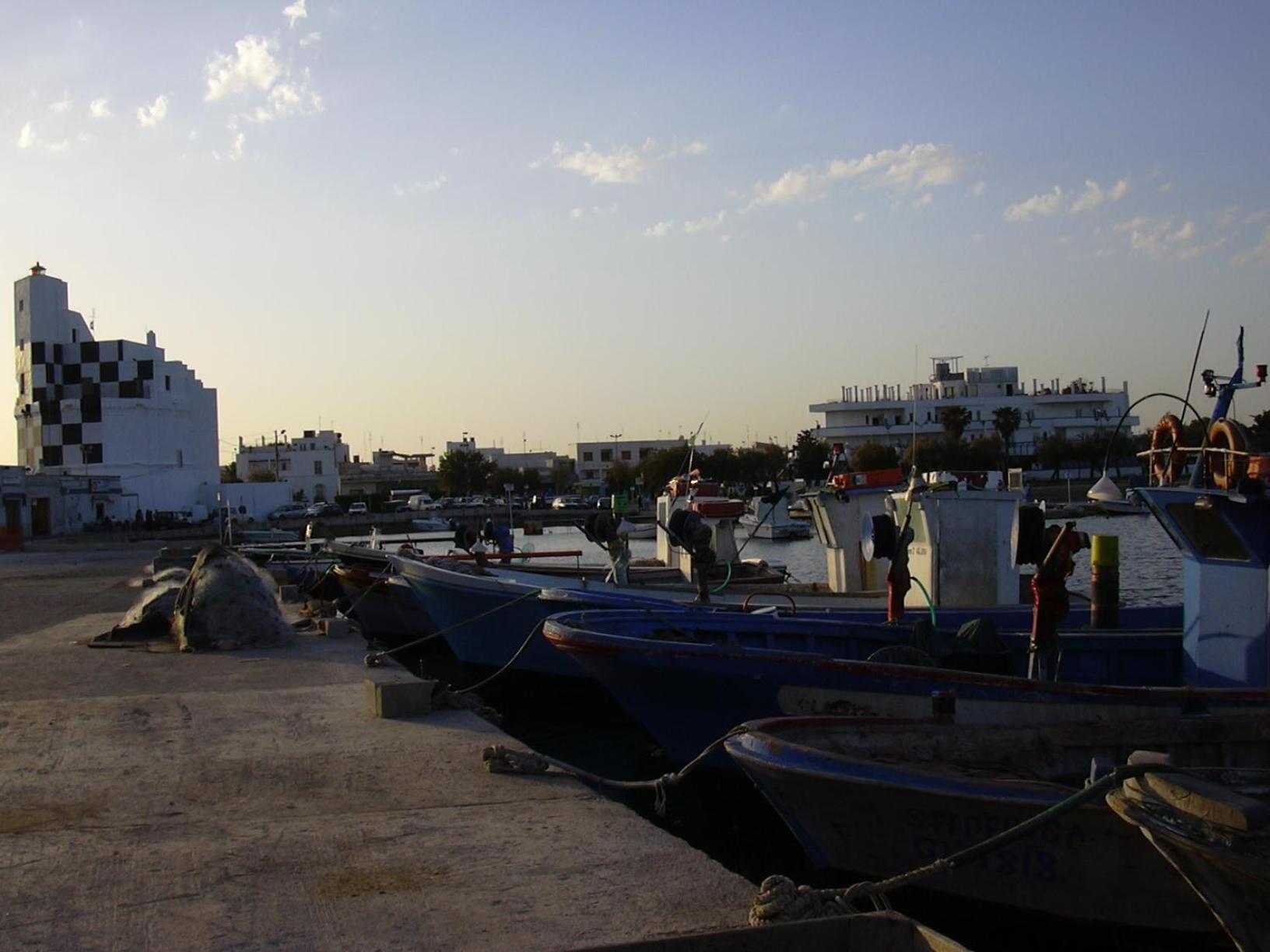 Photo 41