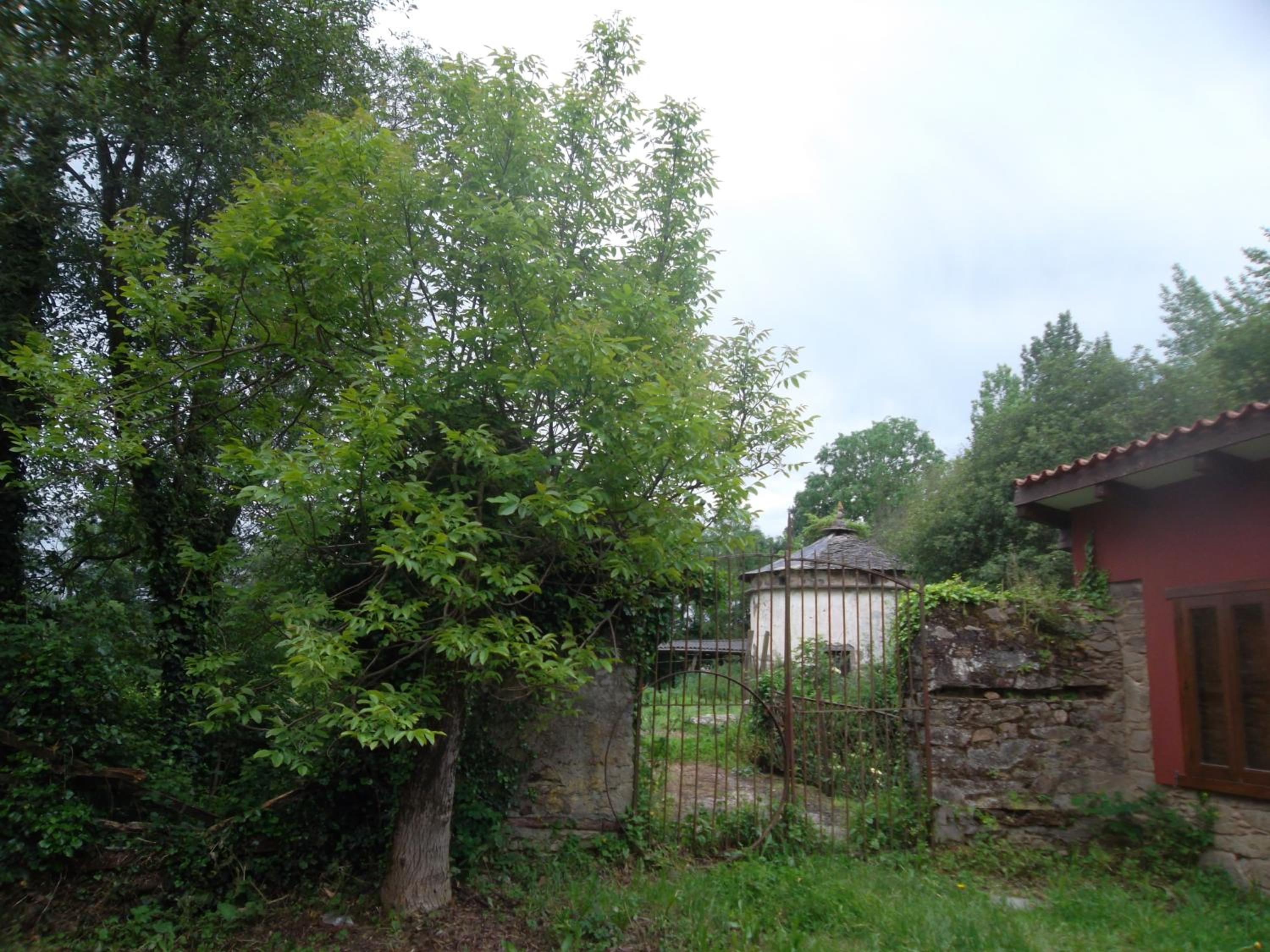 Molinos de Antero