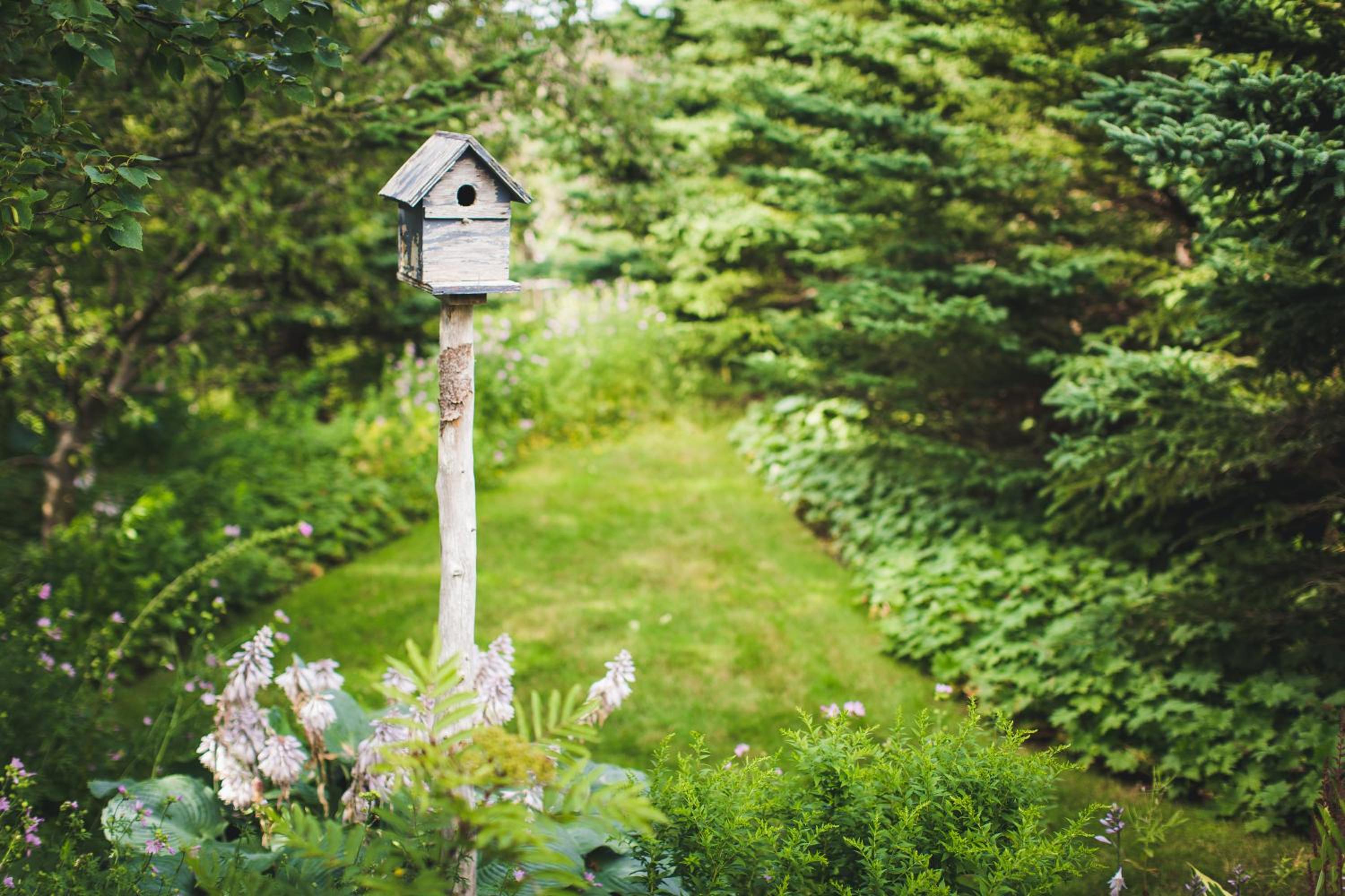 Abbie's Garden Bed & Breakfast Incorporated