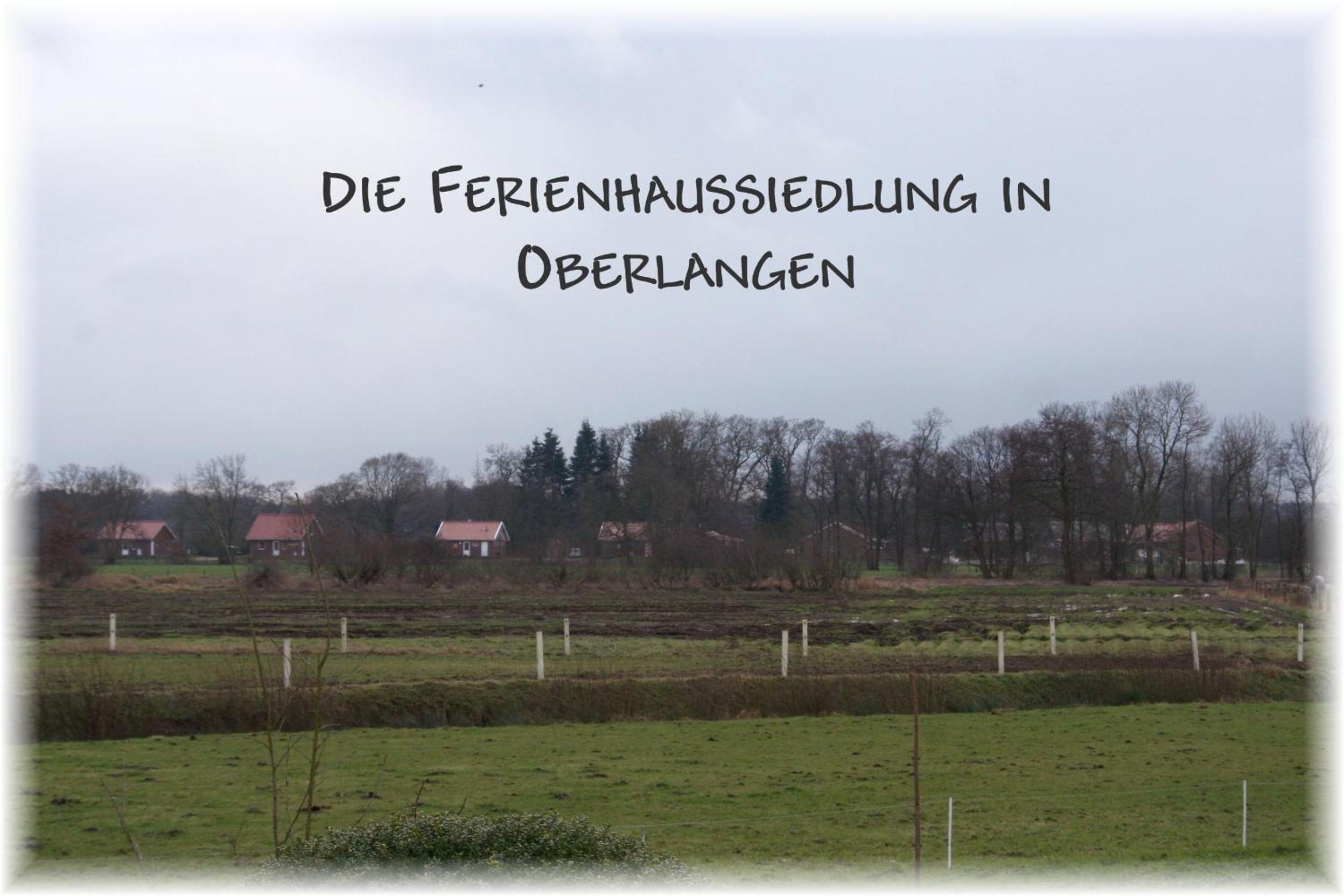 Holunder Hüsken