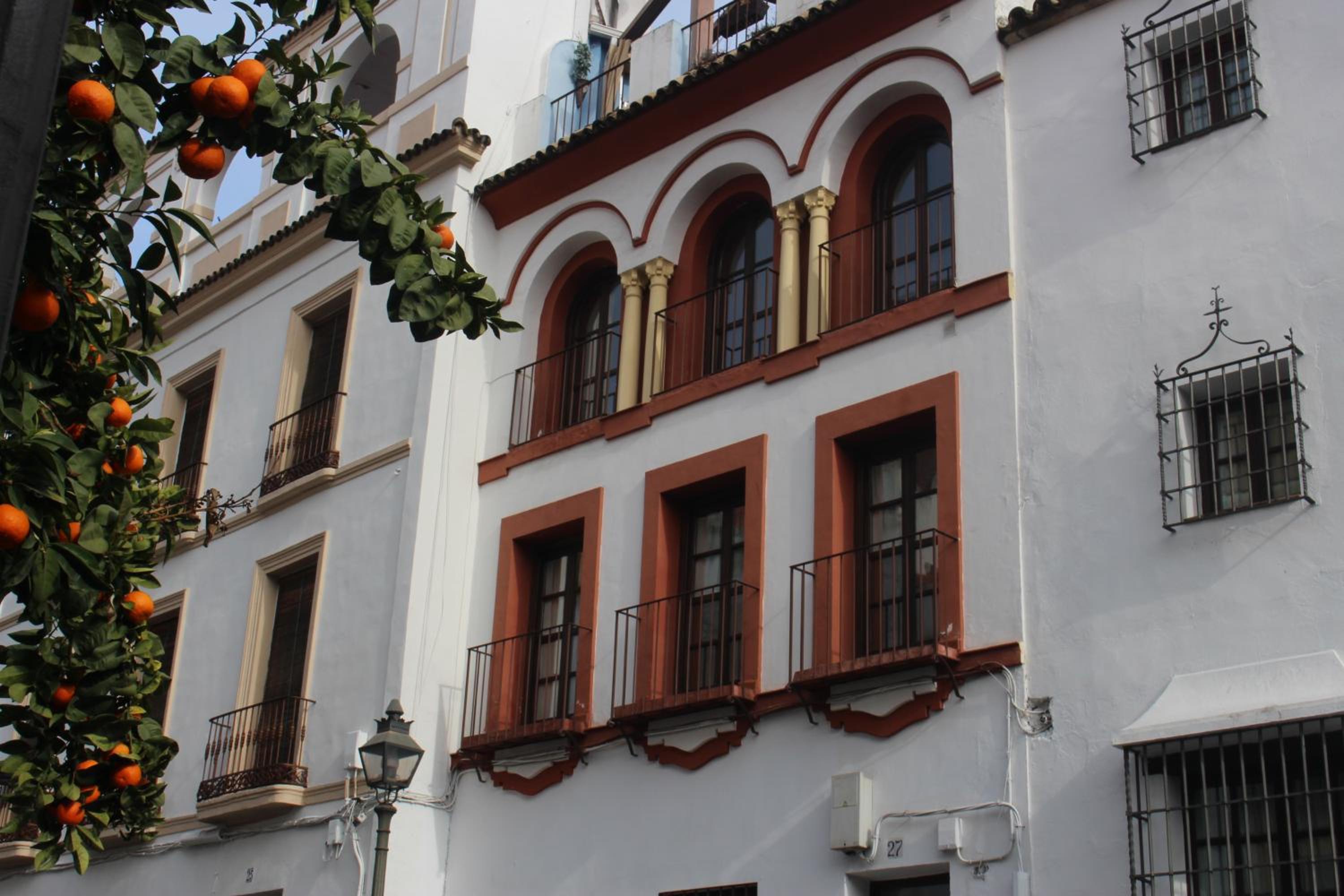 Photo 45