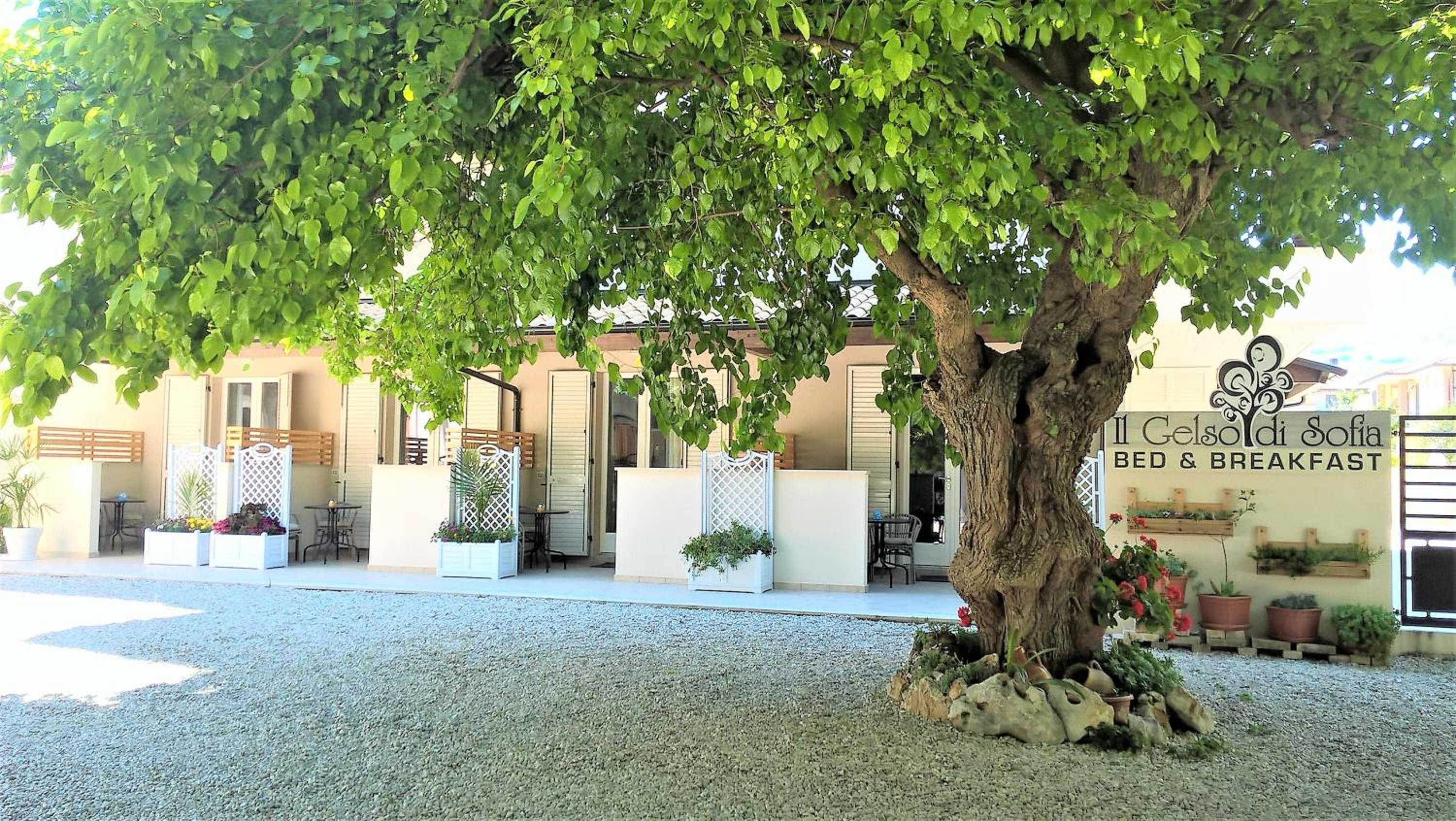 Il Gelso di Sofia B&B en Tortoreto Lido