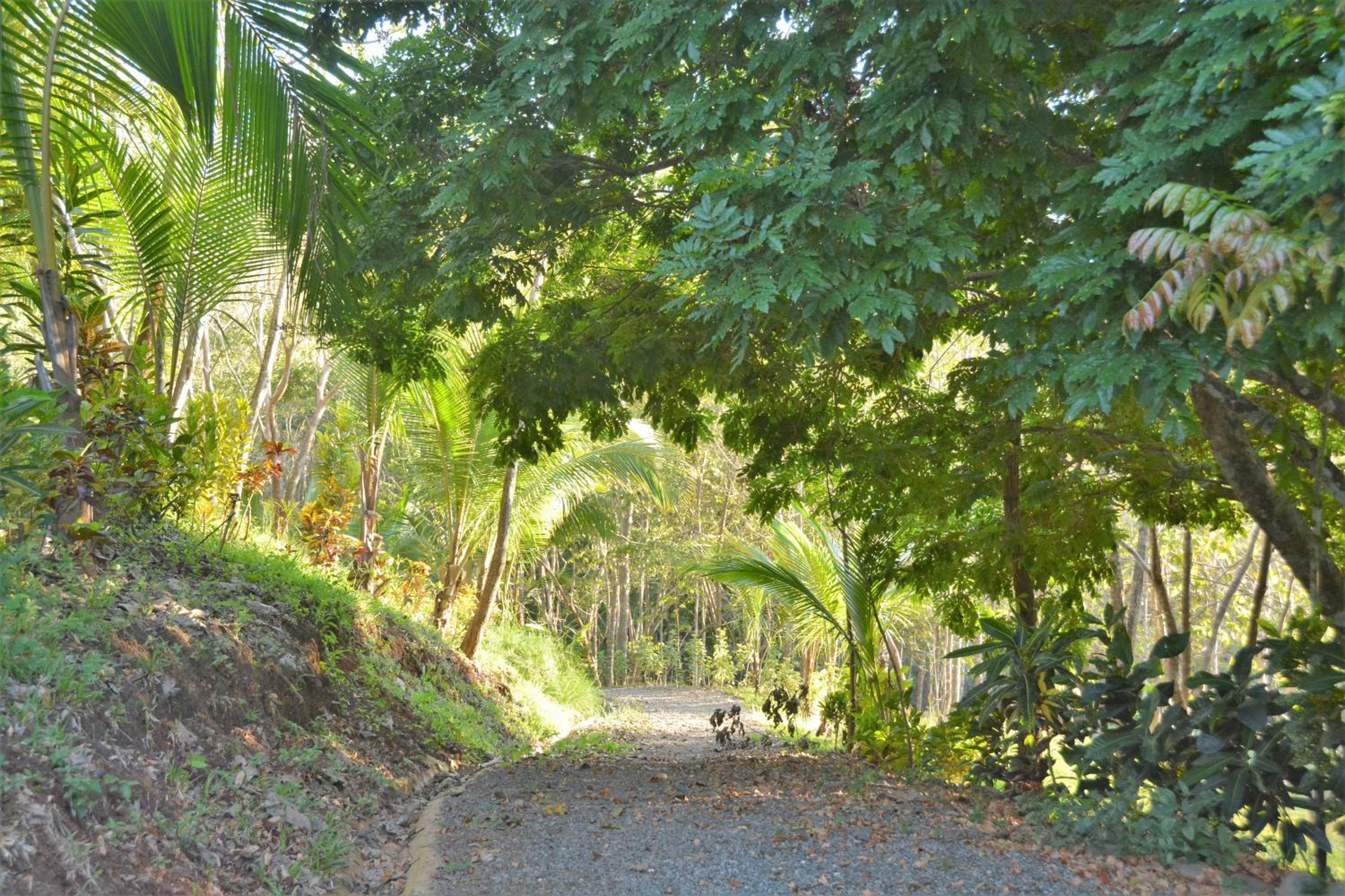 Lodge Margouillat