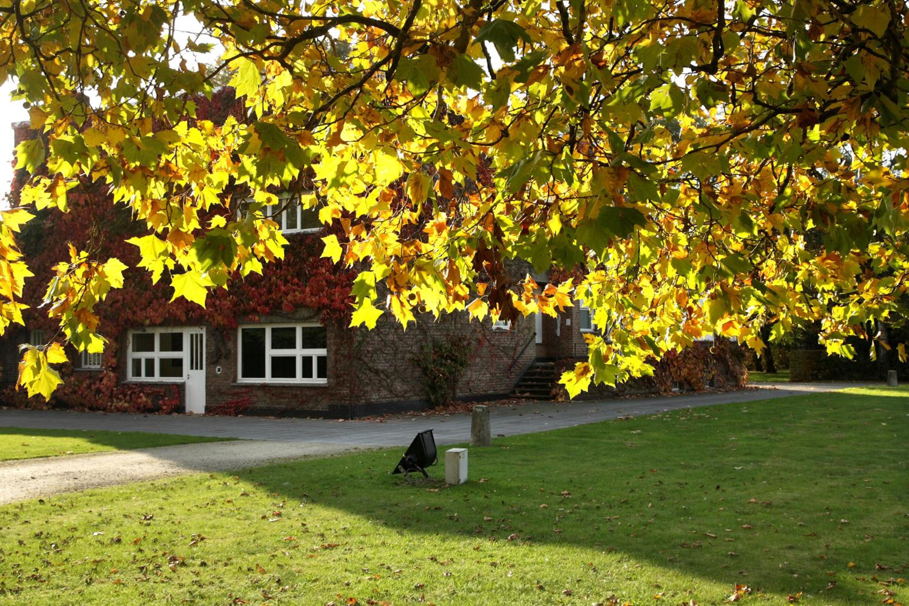 B&B Lievejan