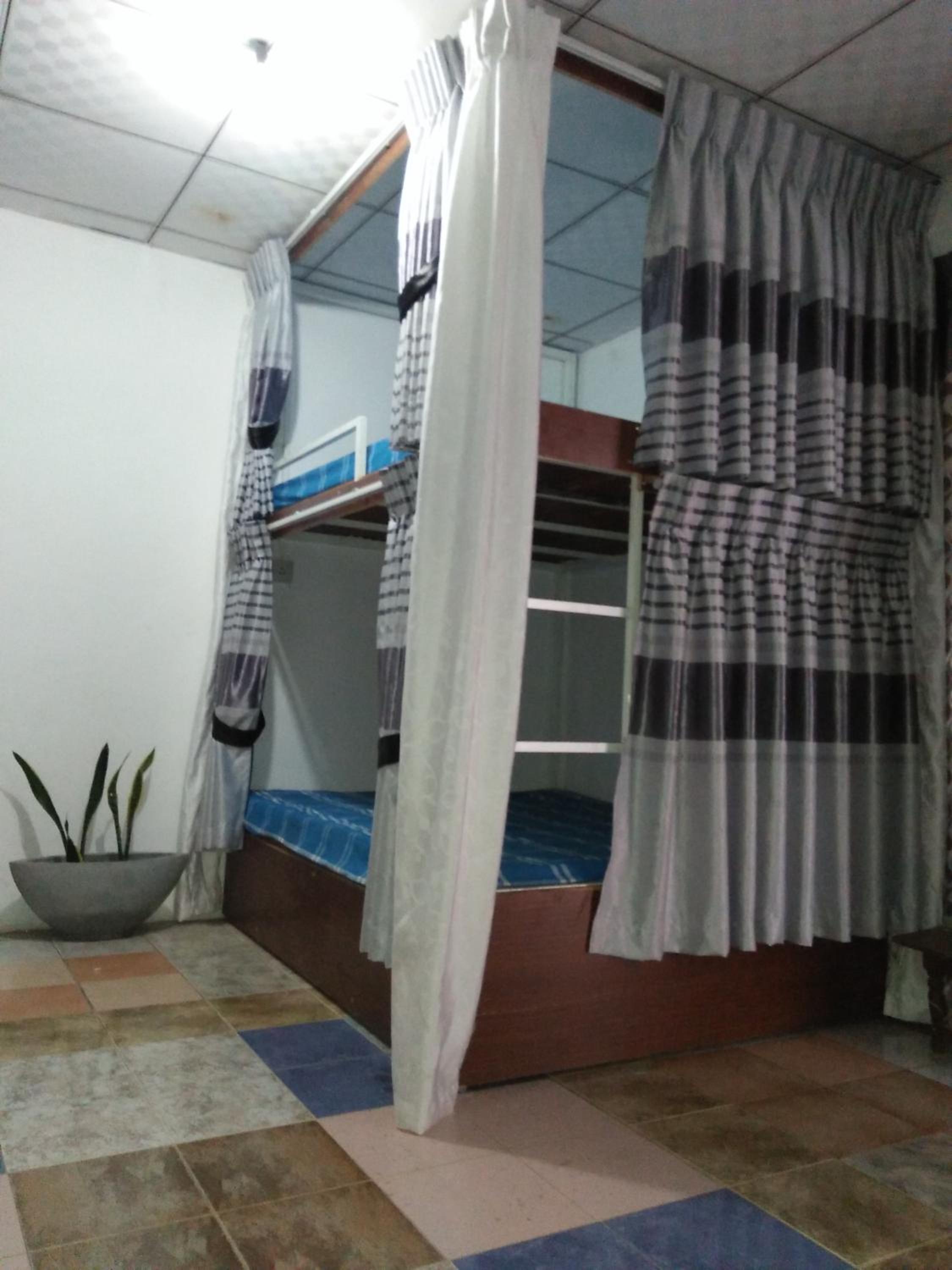 Kingfisher Hostel view 5