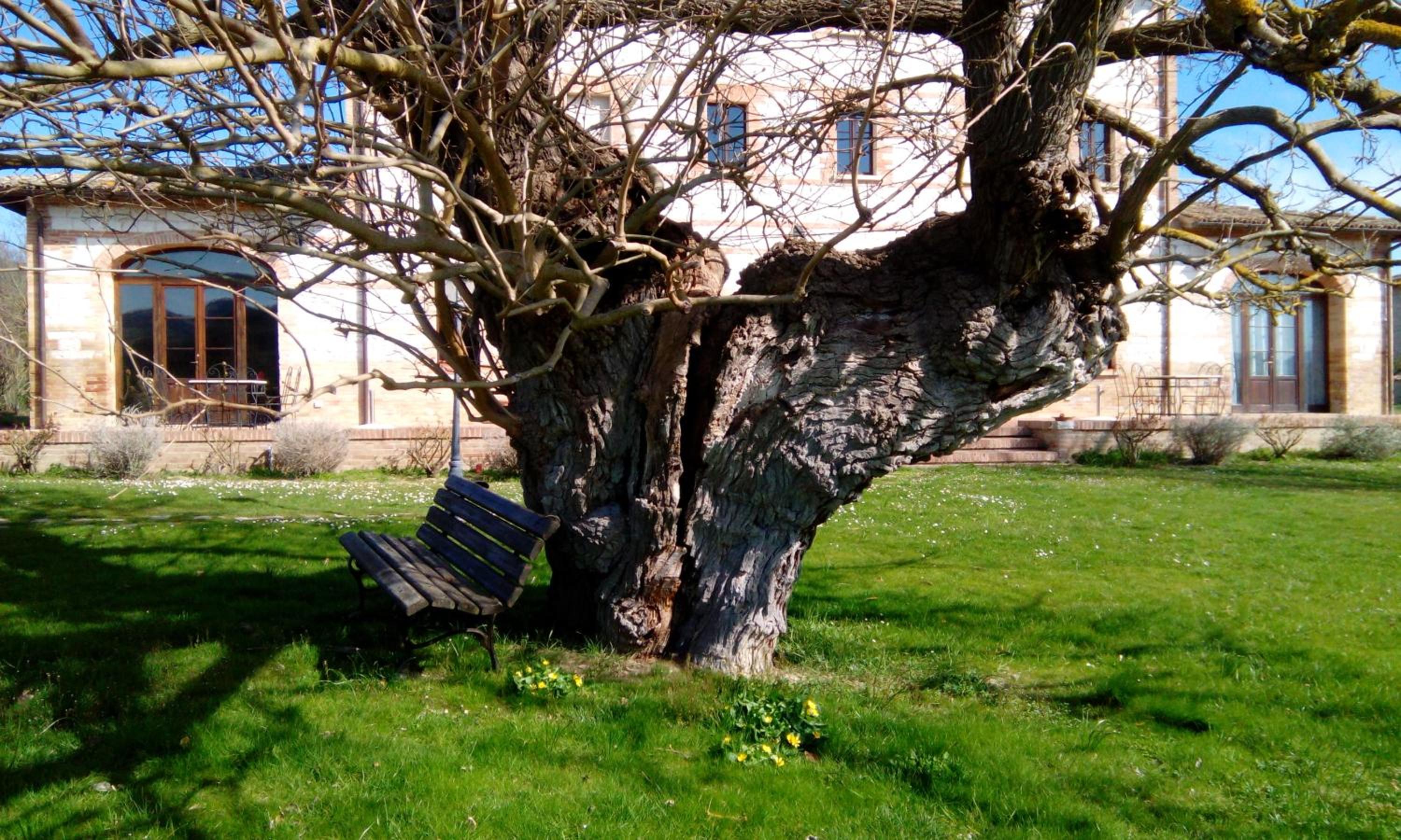 Photo 41