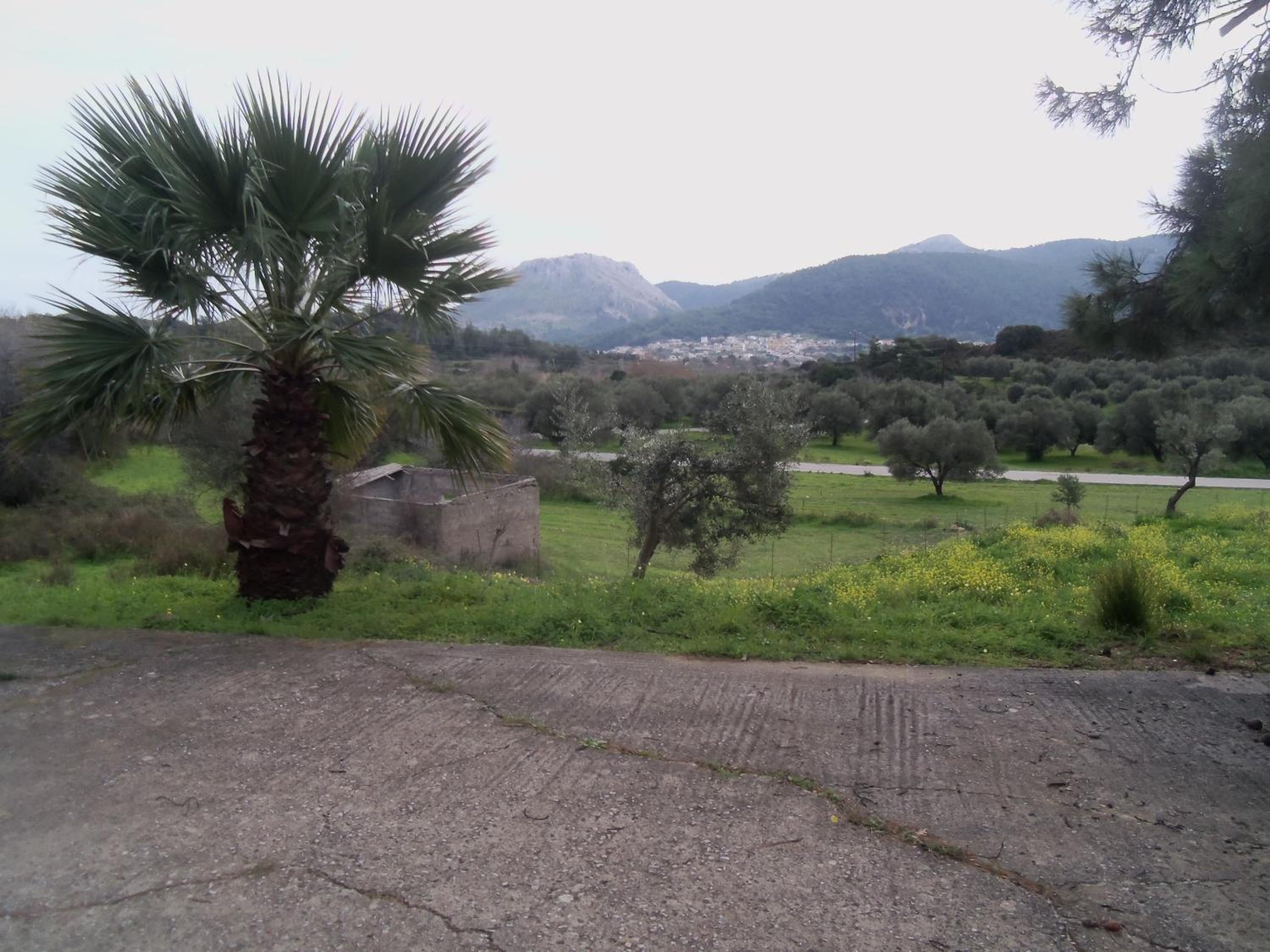 Photo 42