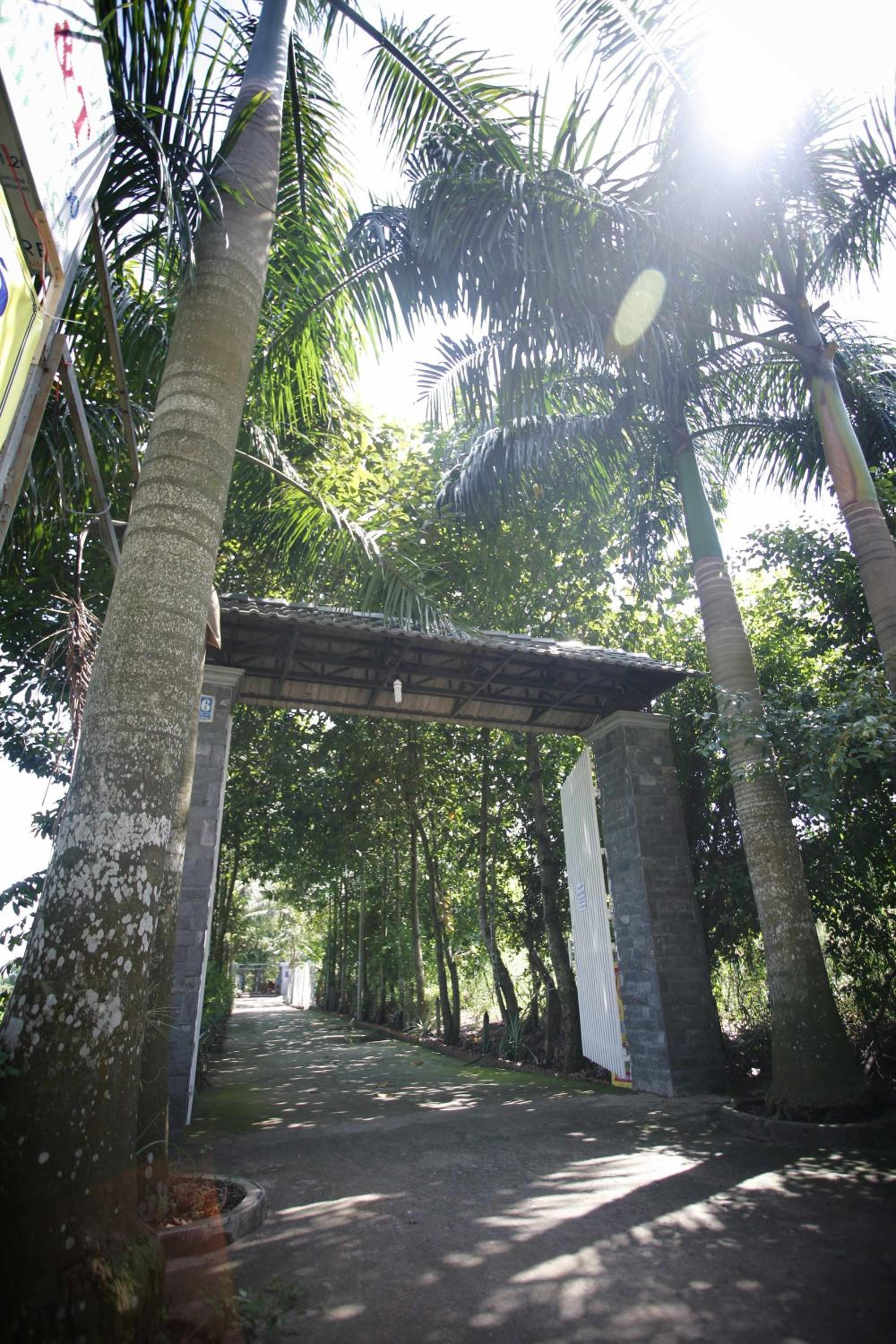 Photo 20