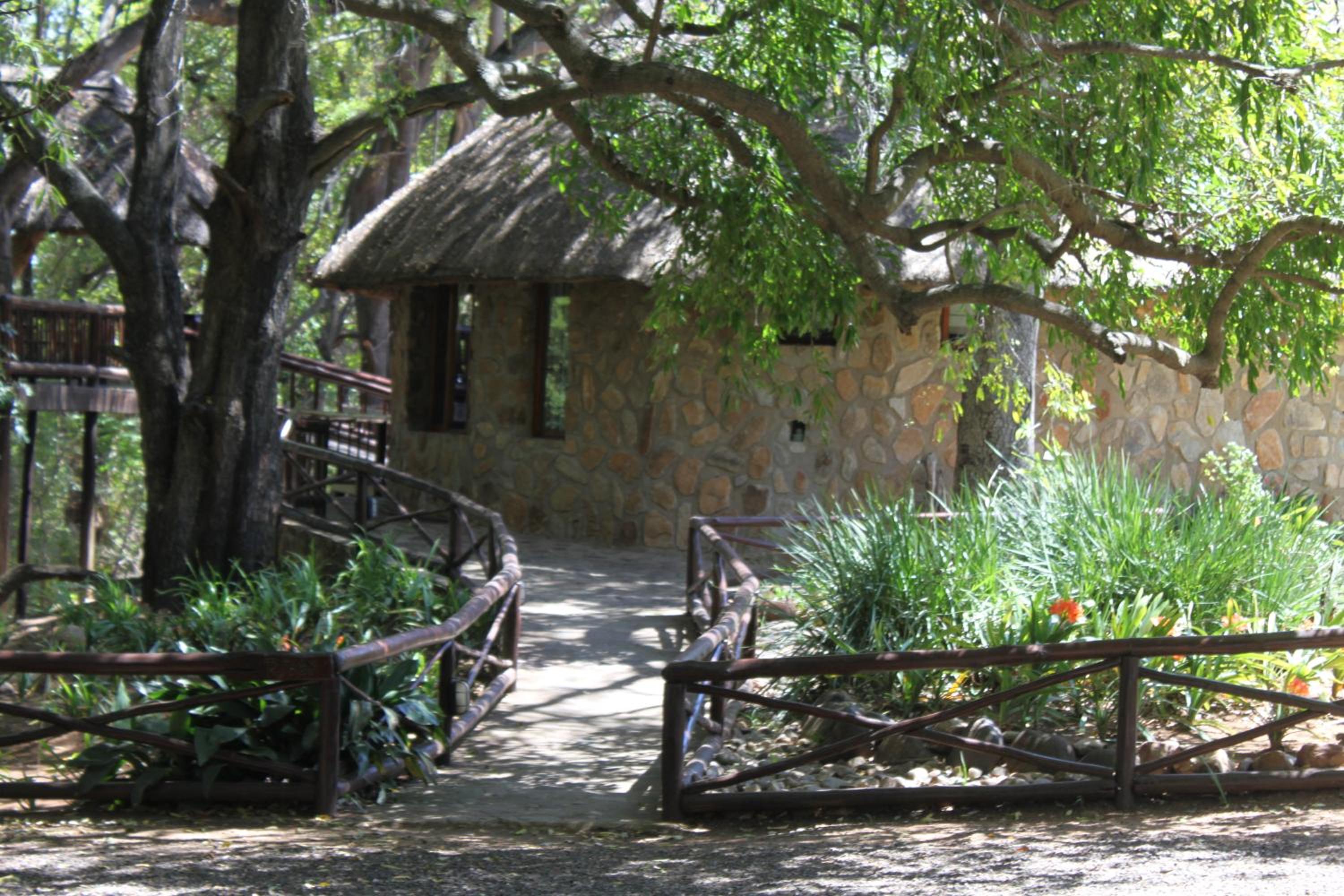 Photo 43