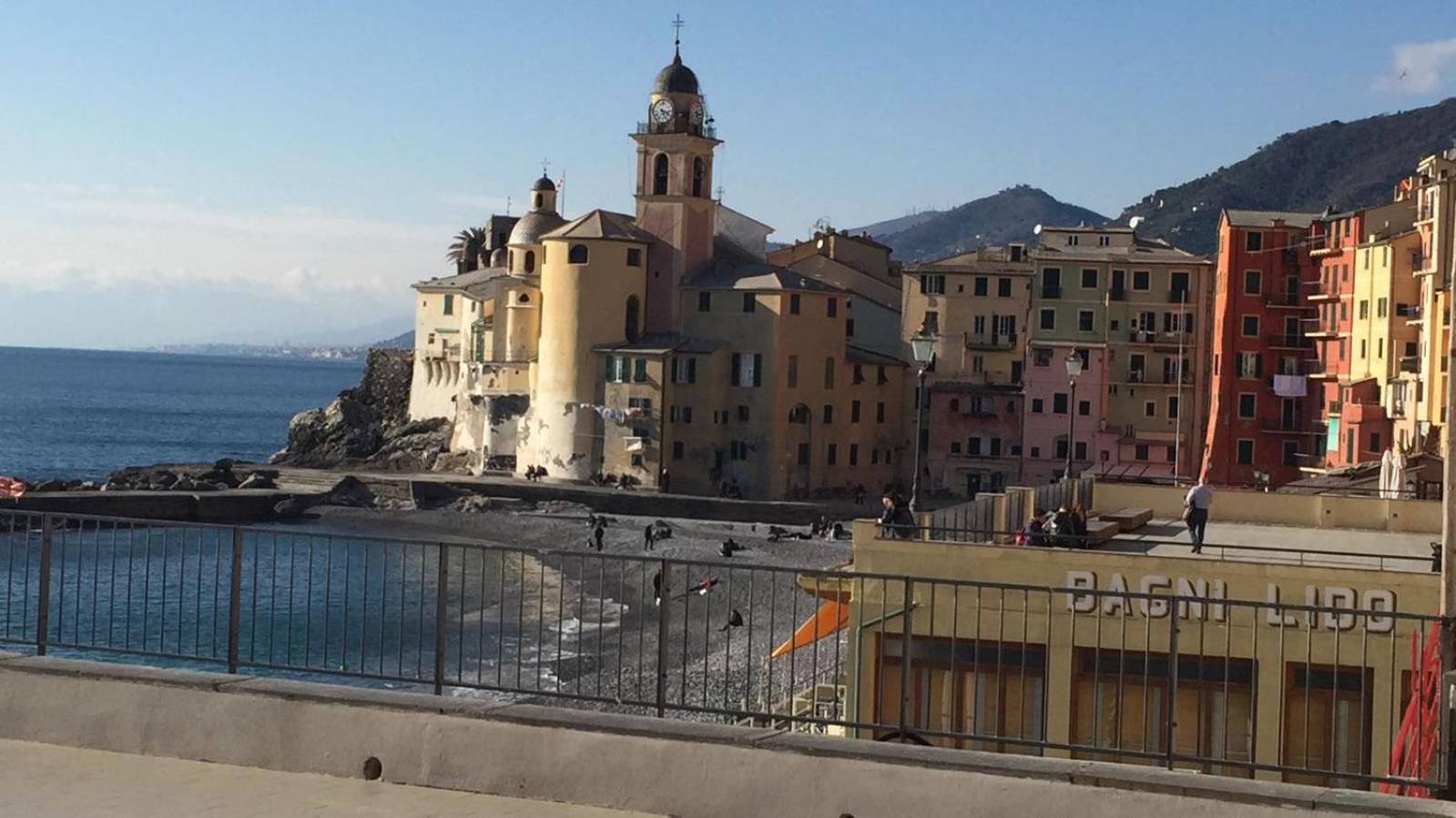House Camogli