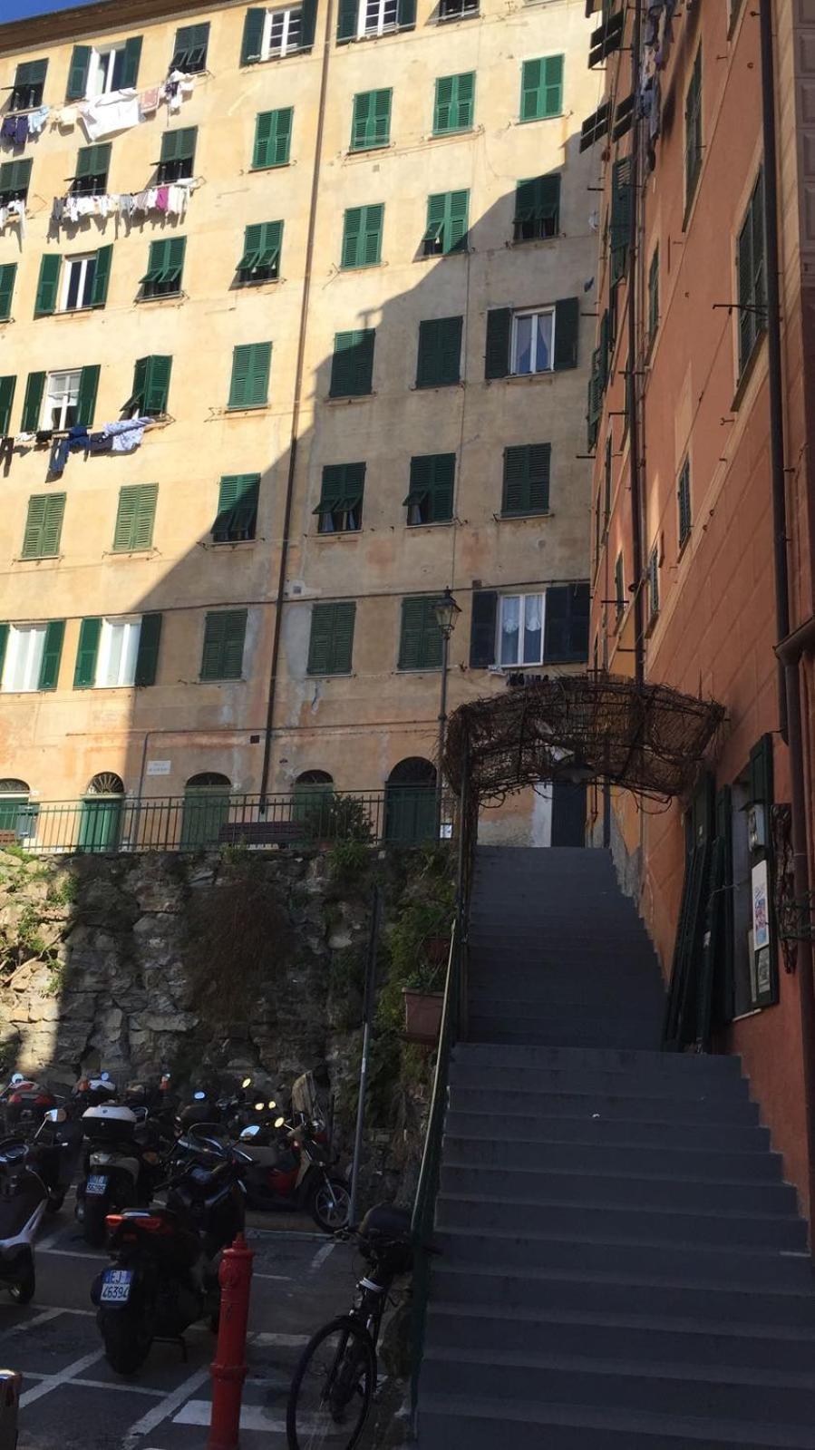 House Camogli