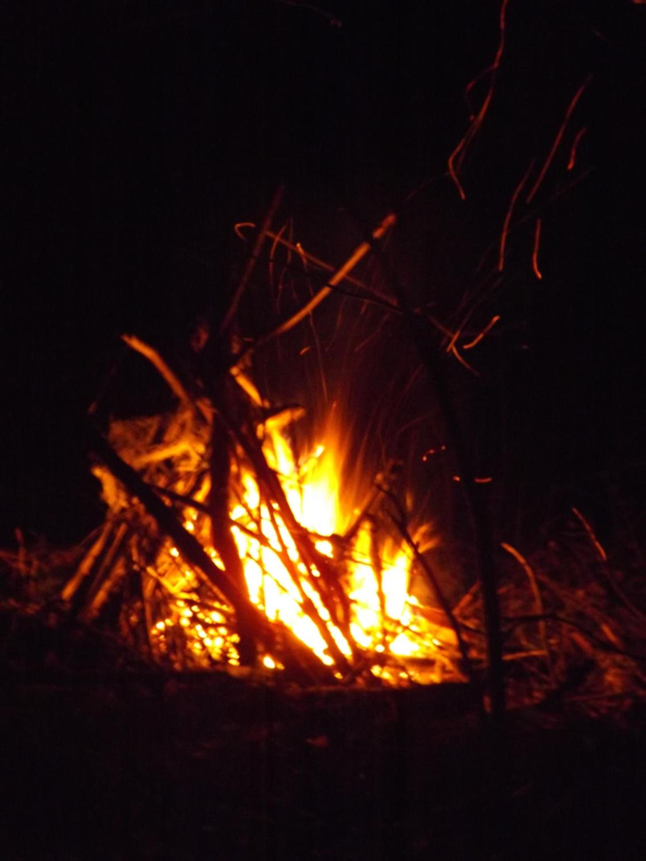 Photo 43