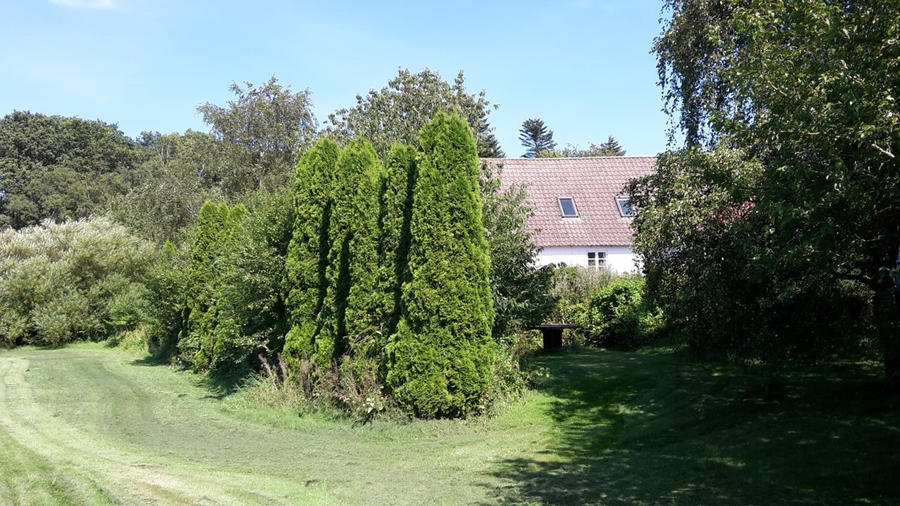 Photo 31
