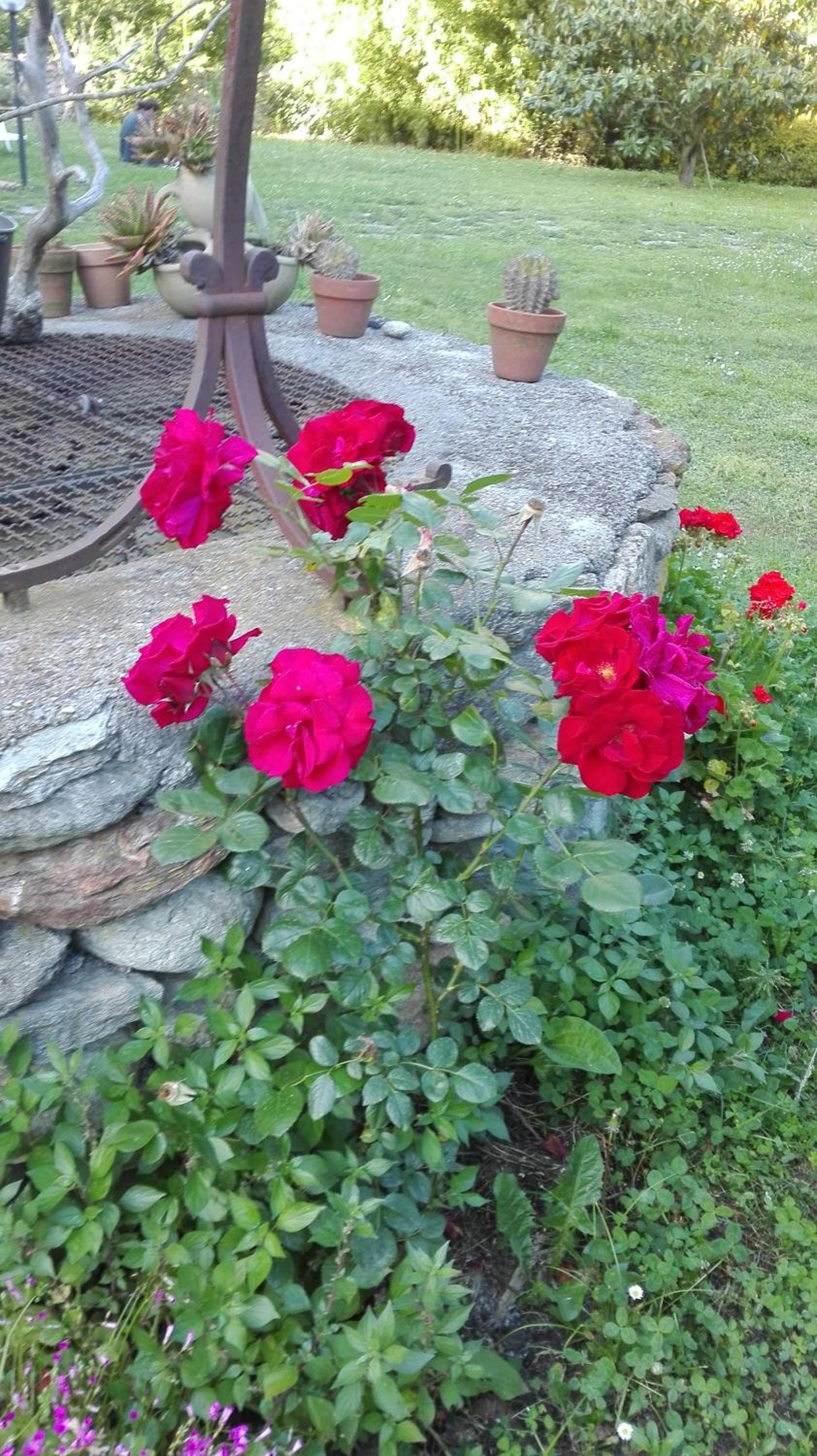 Photo 33