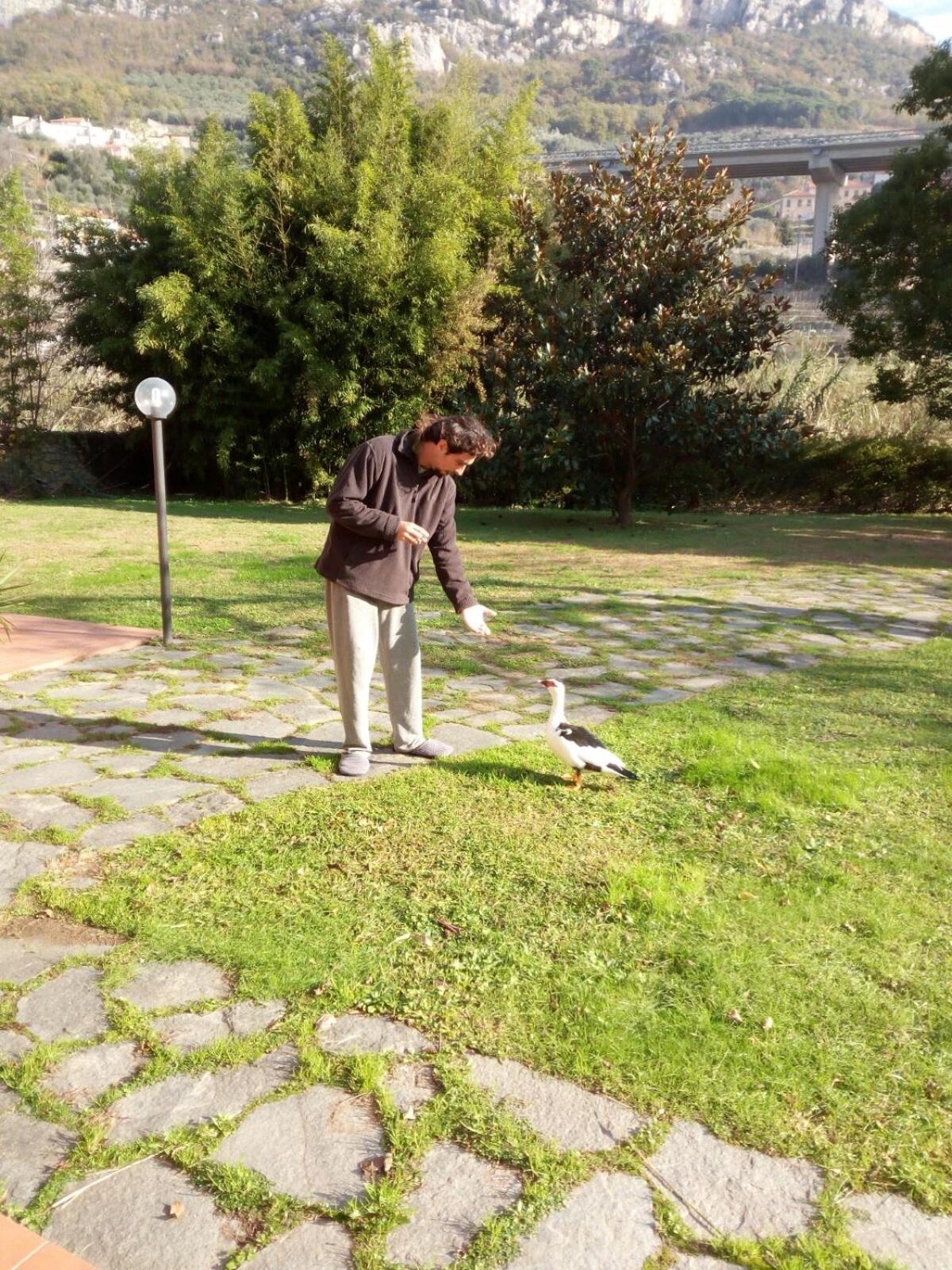 Photo 32