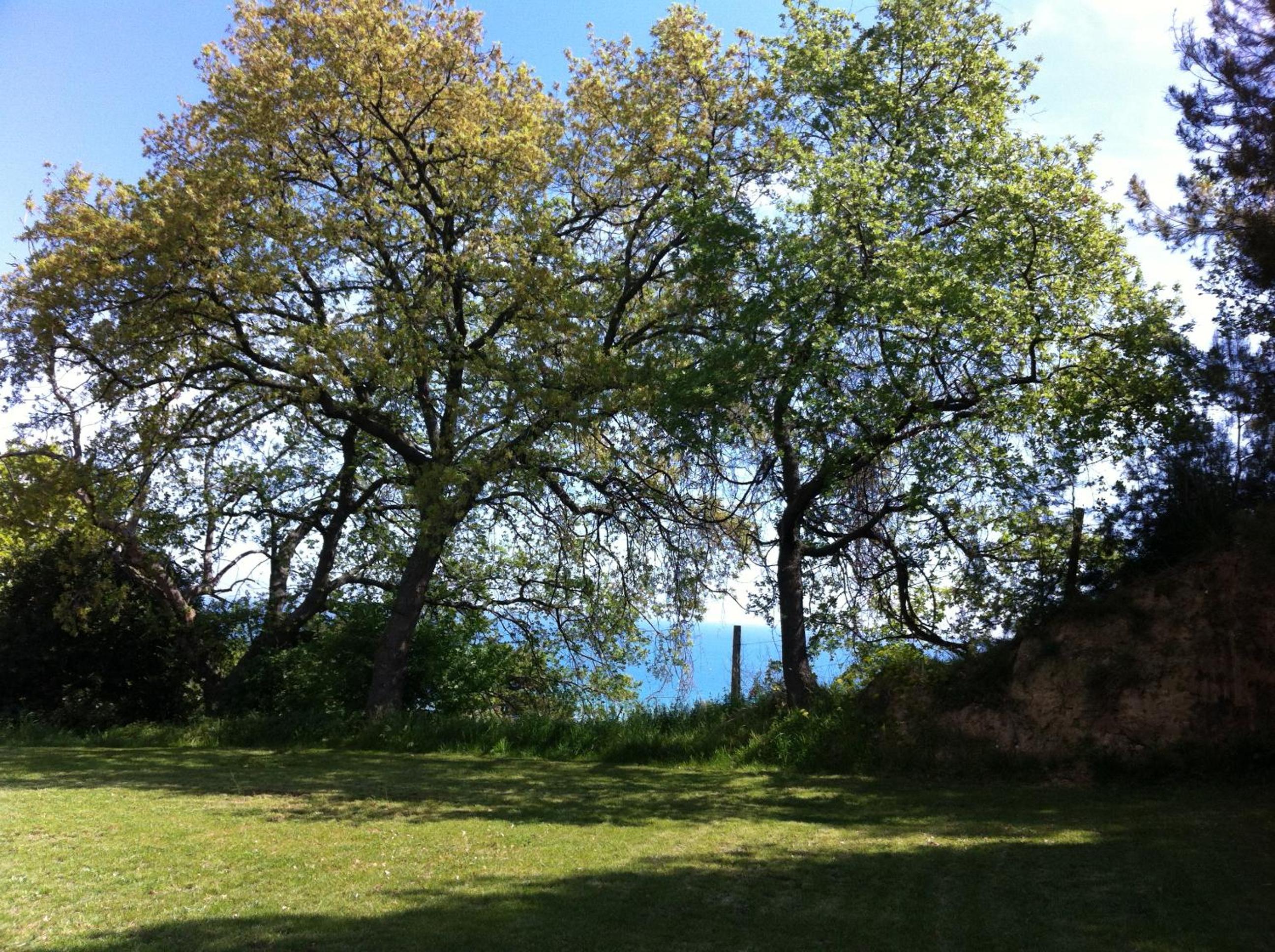 Photo 39