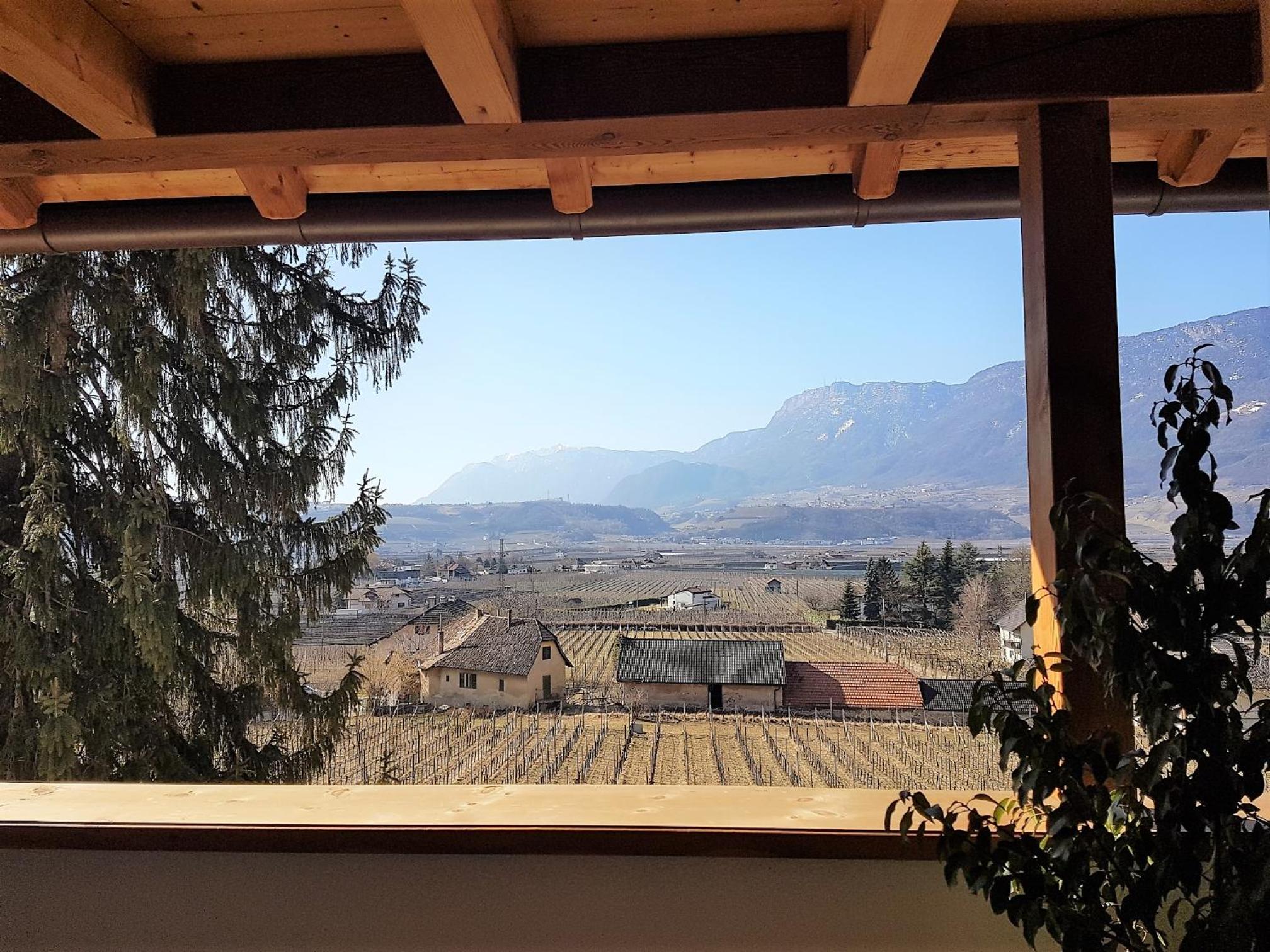 Brandlgut view 2