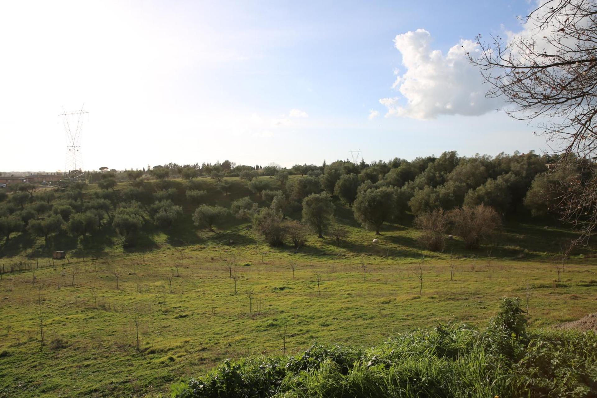 angolo di paradiso