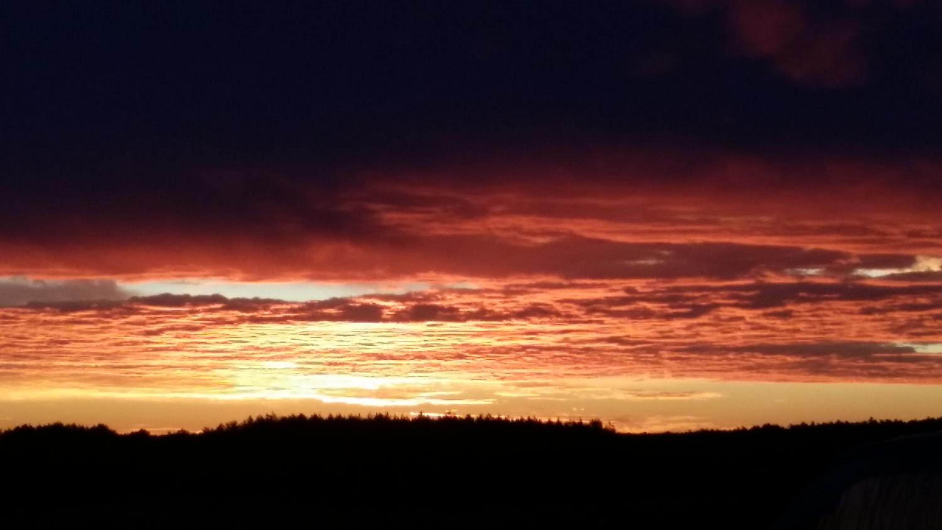 Winnica Dębogóra