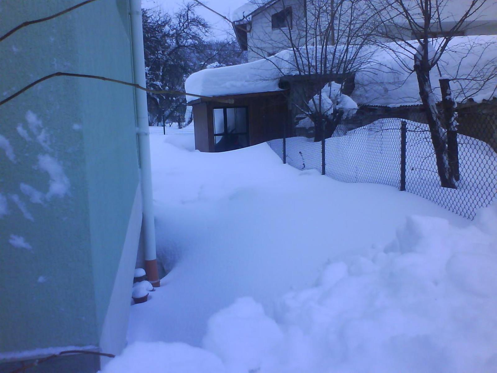 Aleks Guest House
