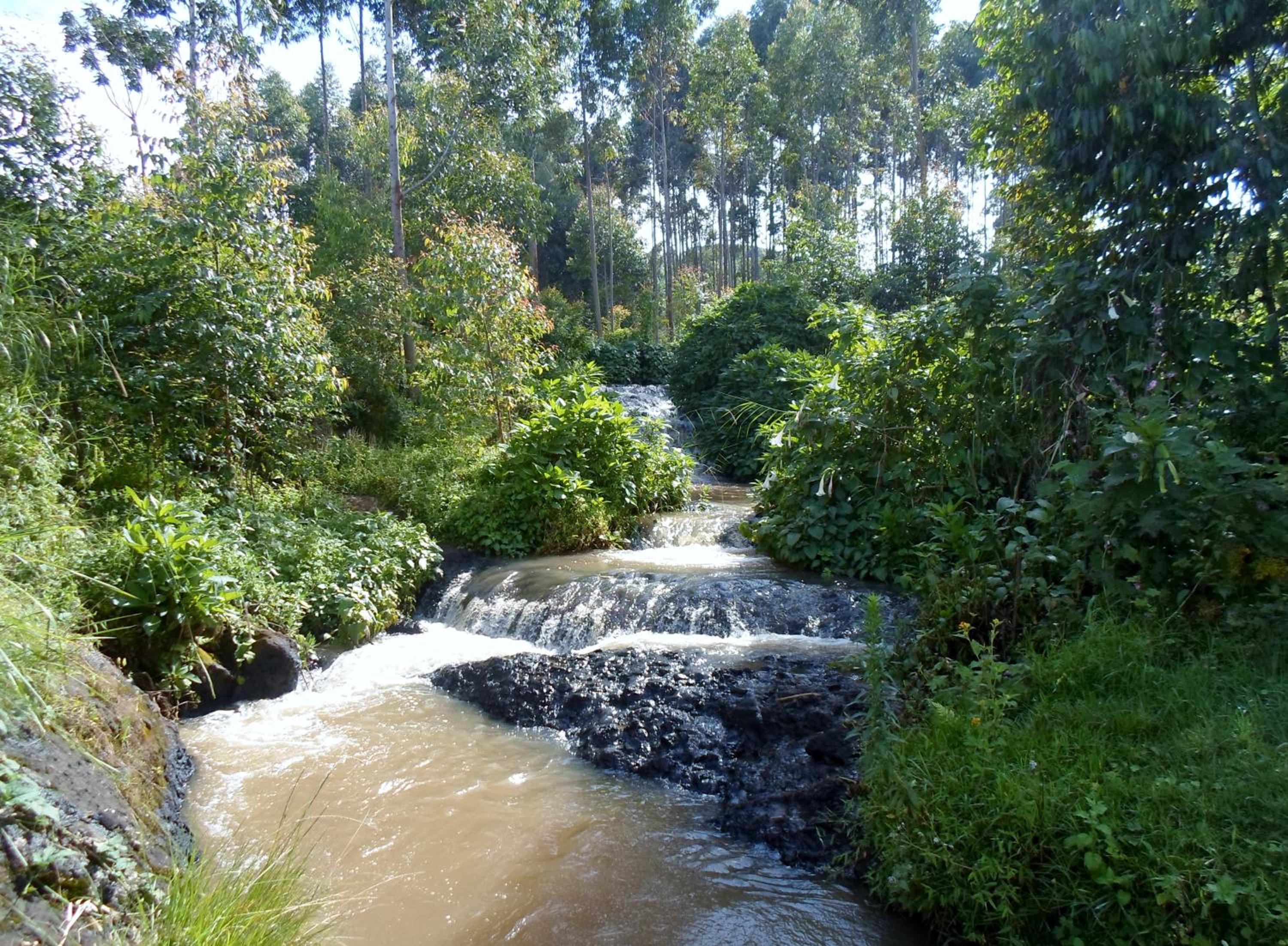 Photo 24