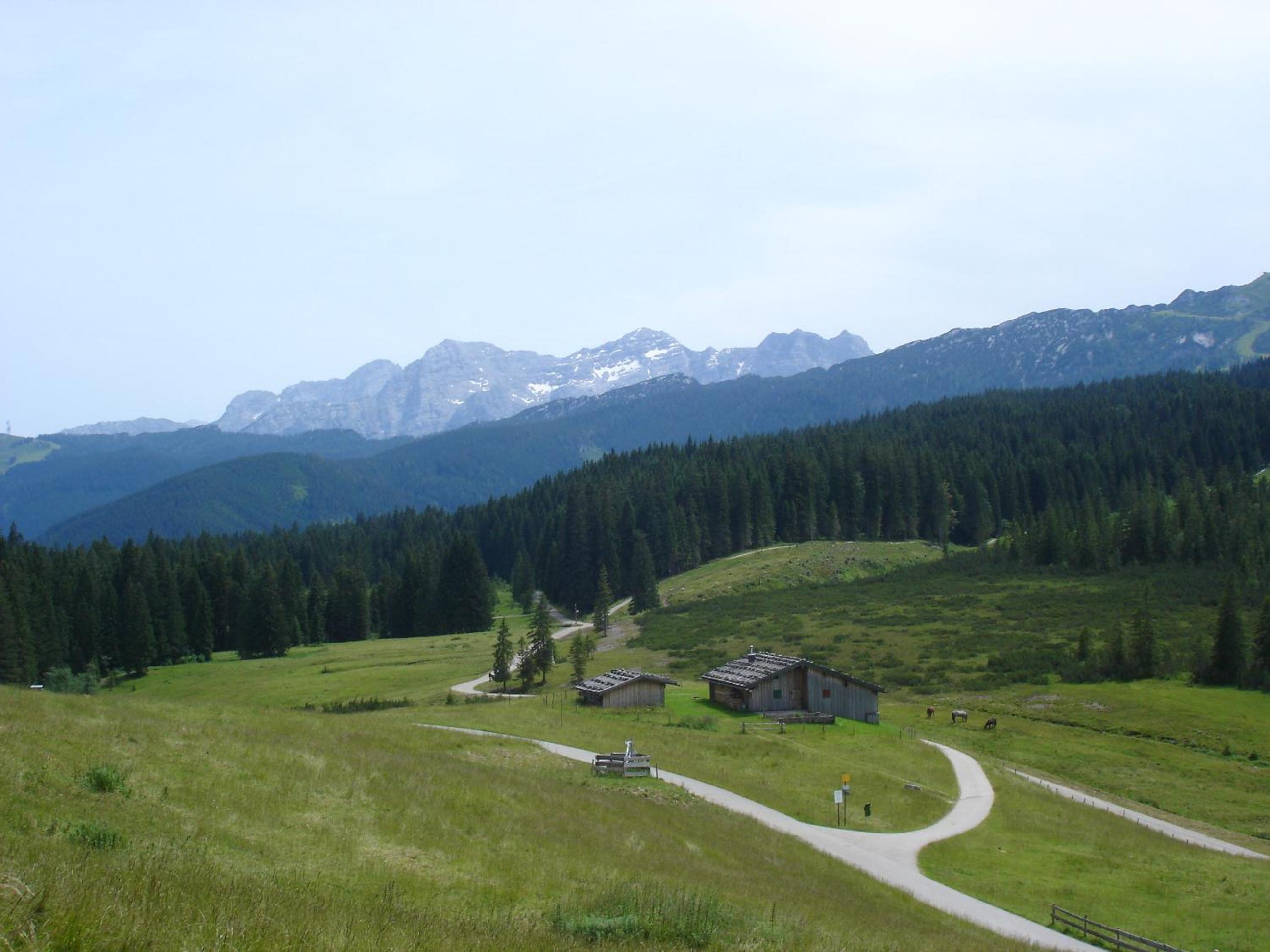 Pension Bergblick