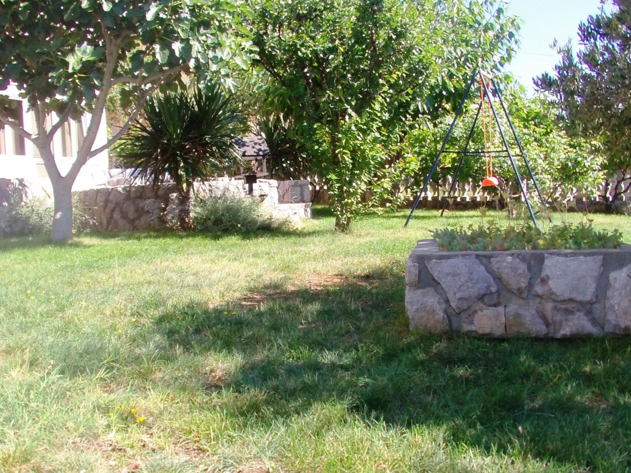 Photo 46