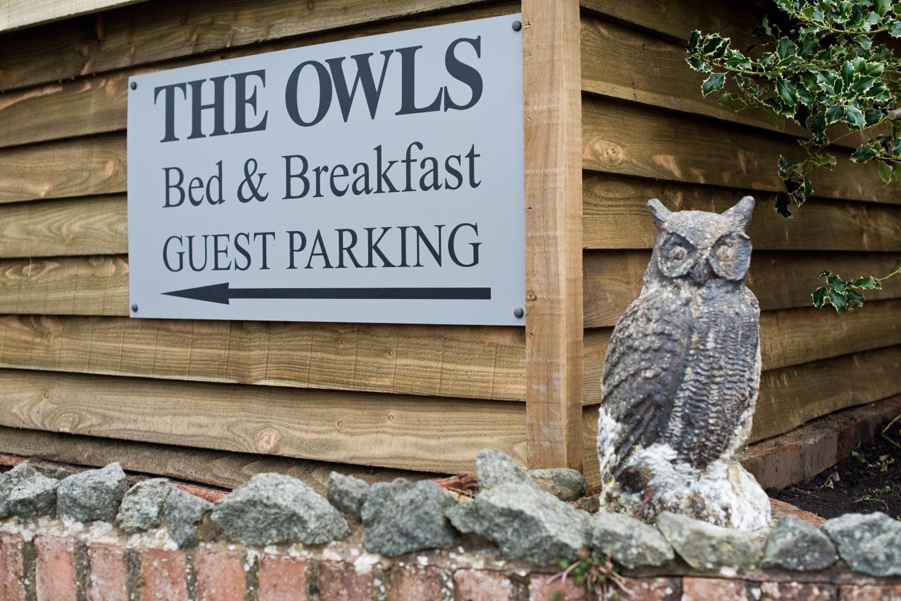The Owls