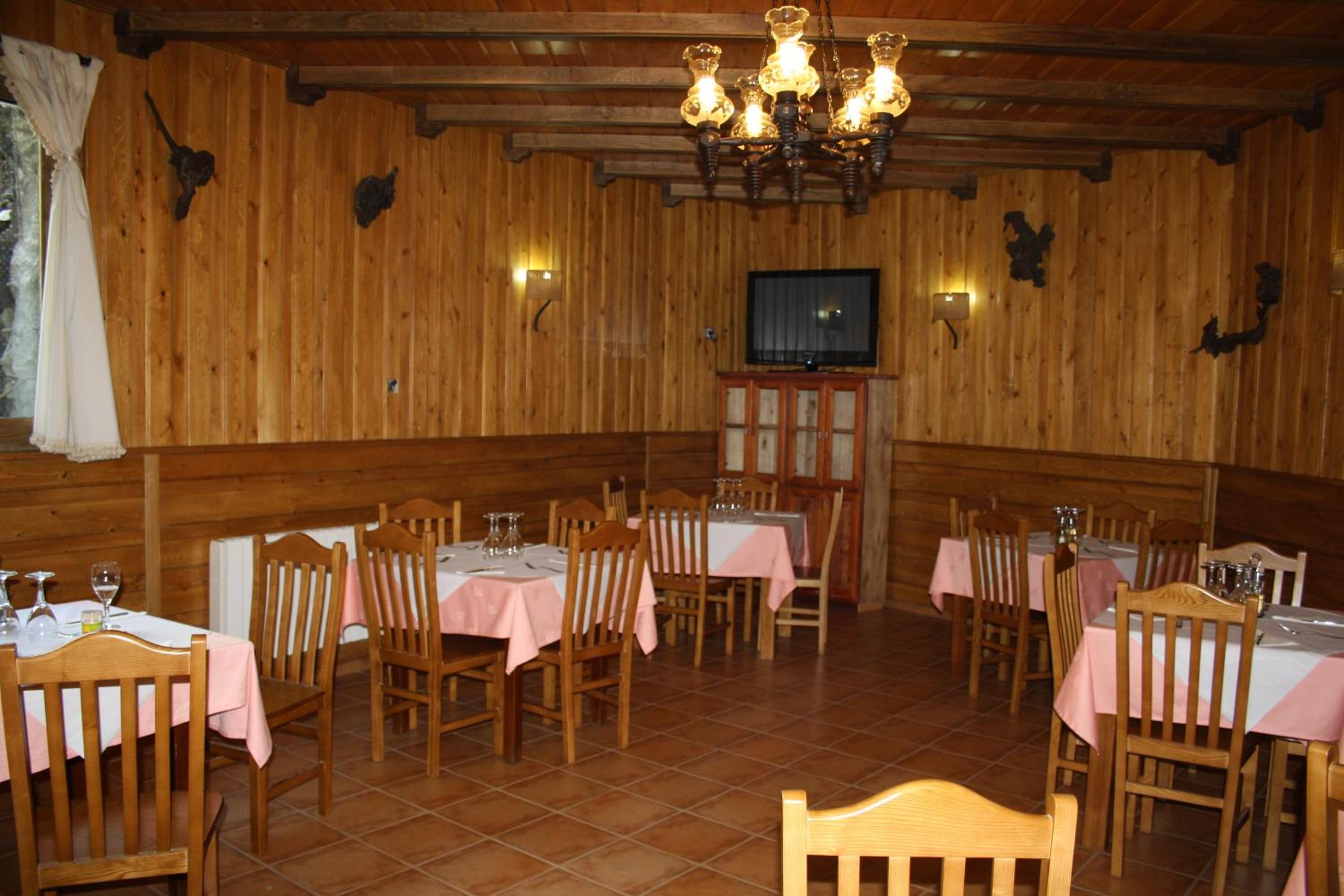 Hostal Tribal