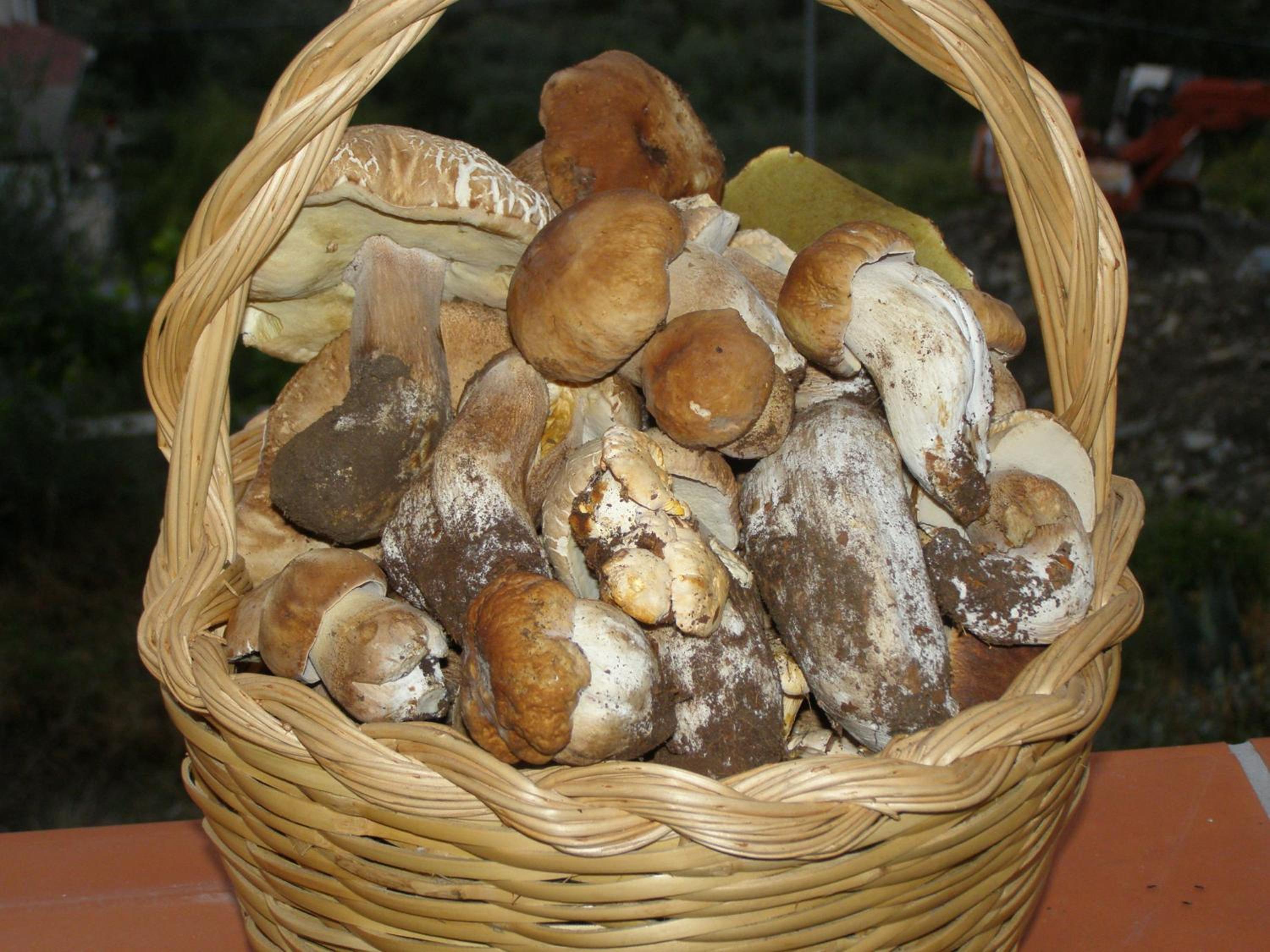B&B Le Grazie