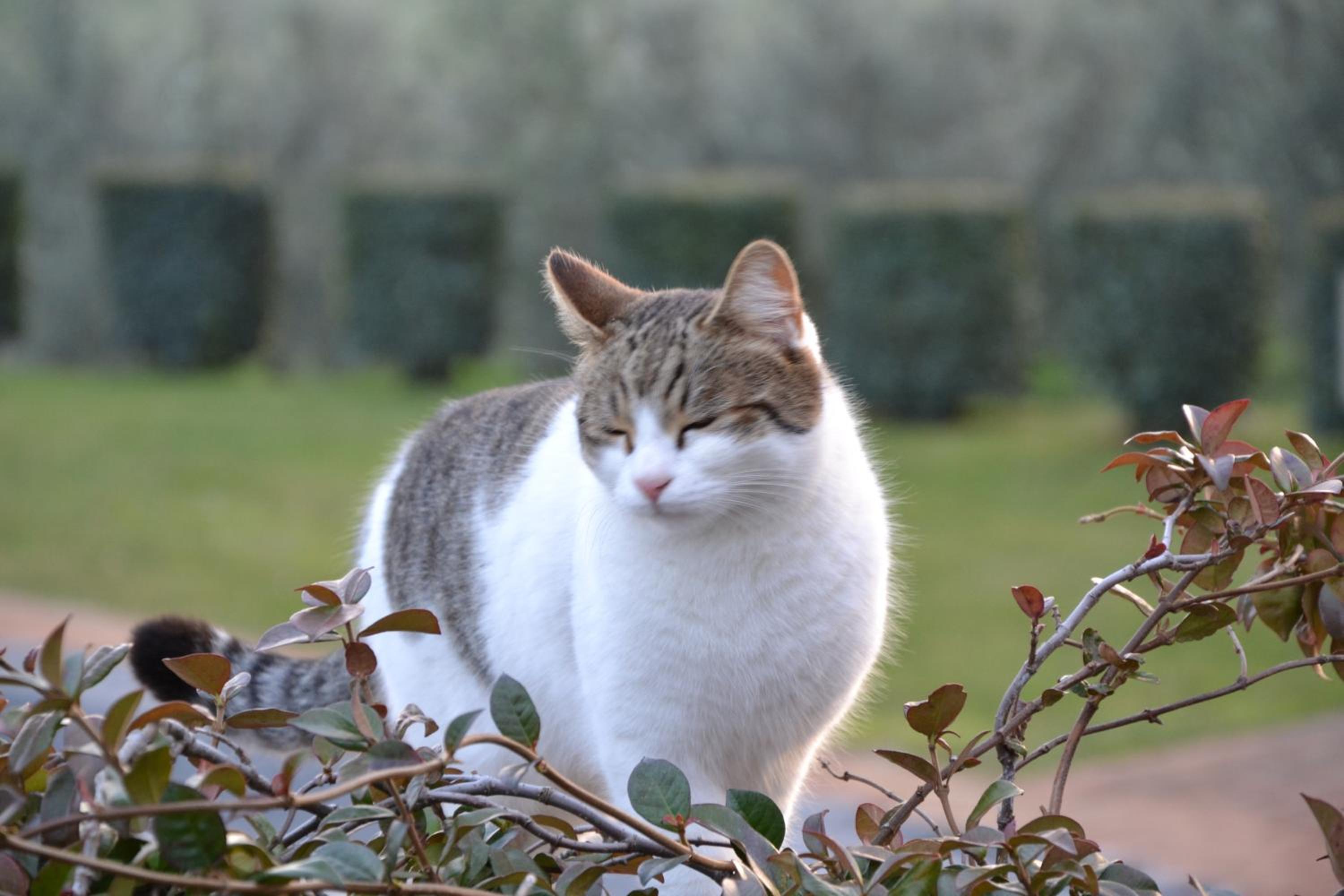 Photo 47