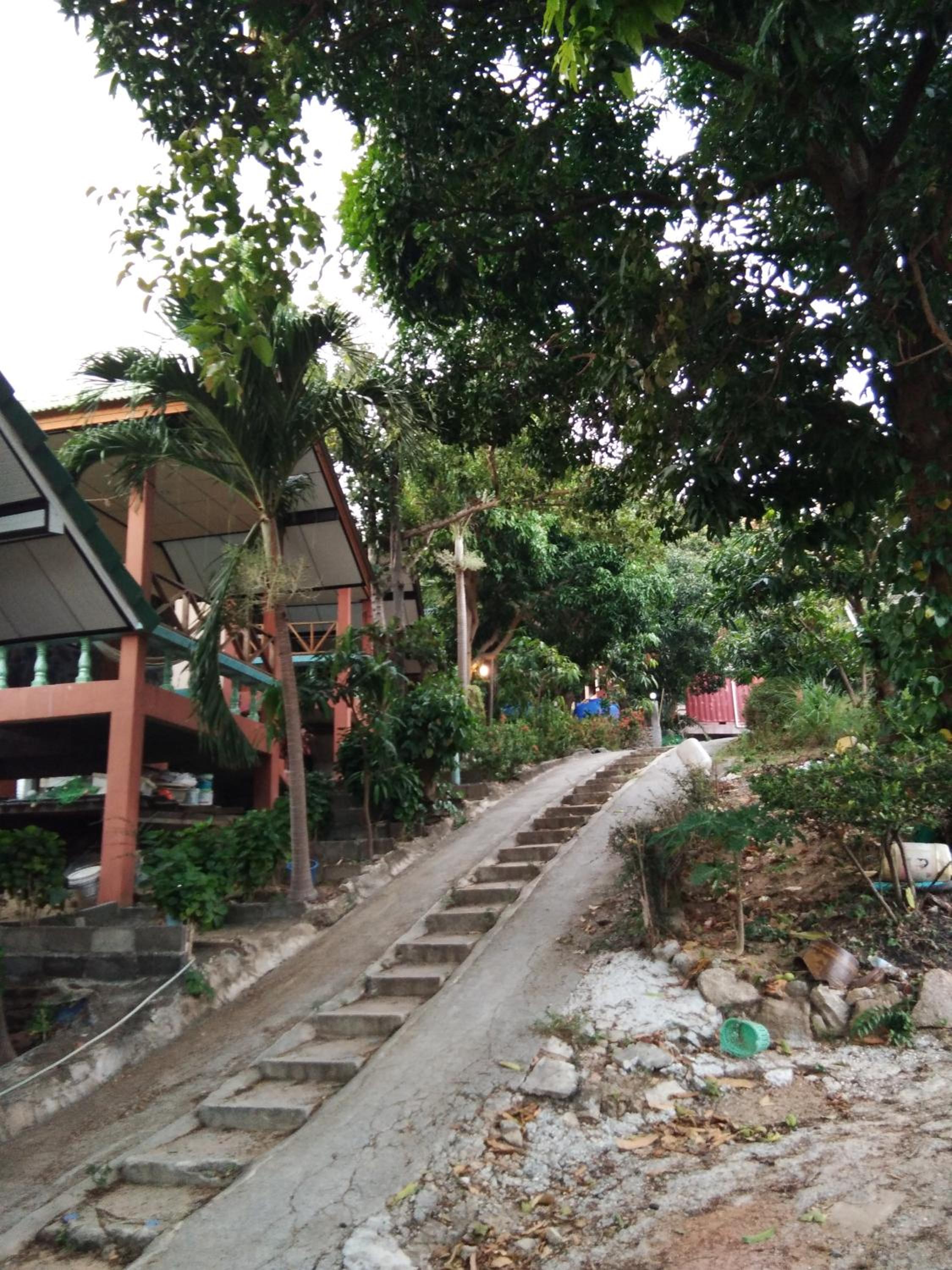 Modern Resort