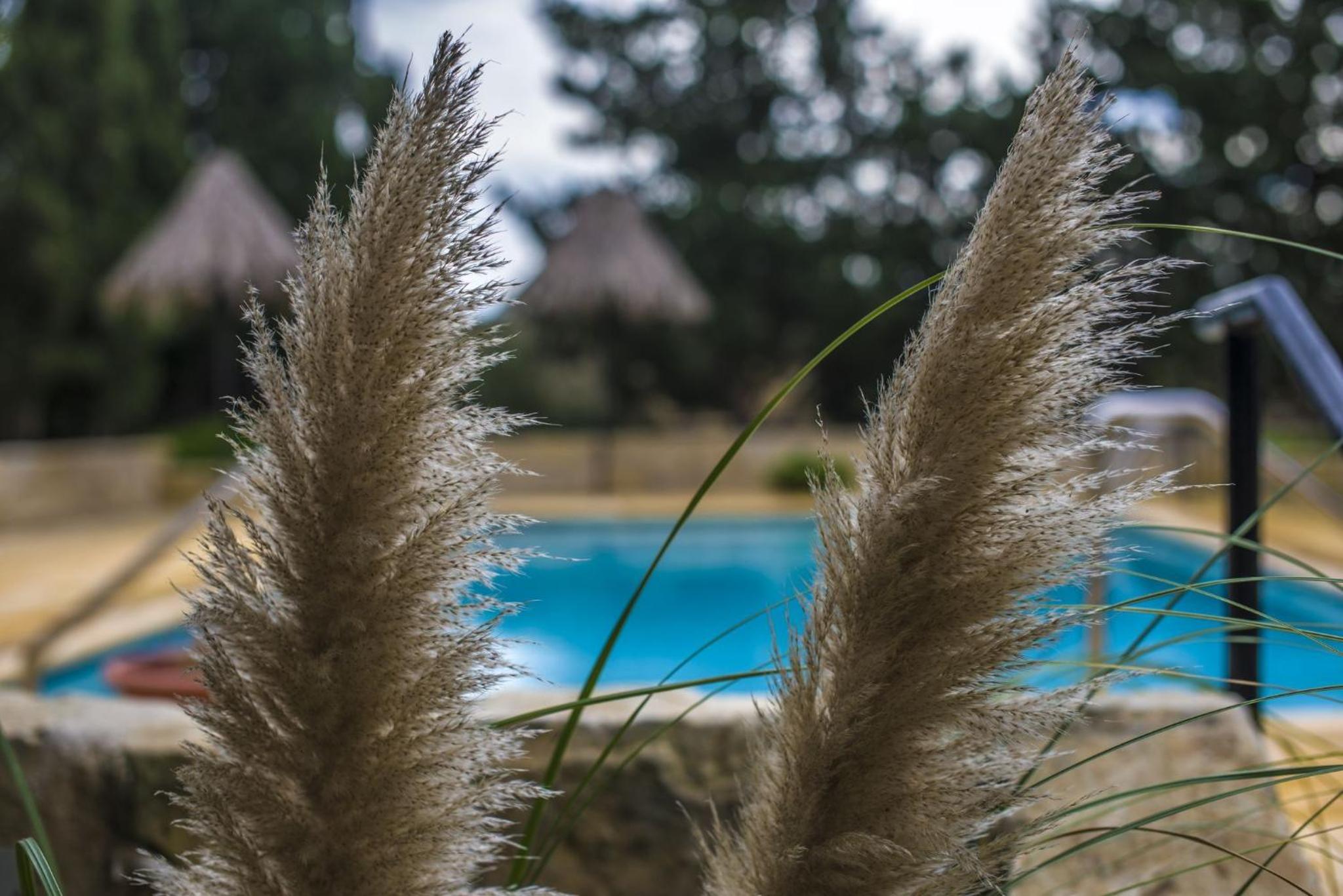 Ta' Bertu Host Family Bed & Breakfast