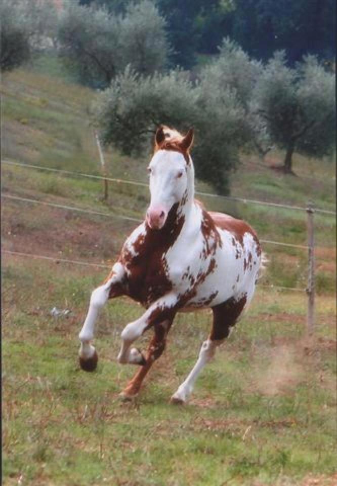 Agriturismo Cannavota