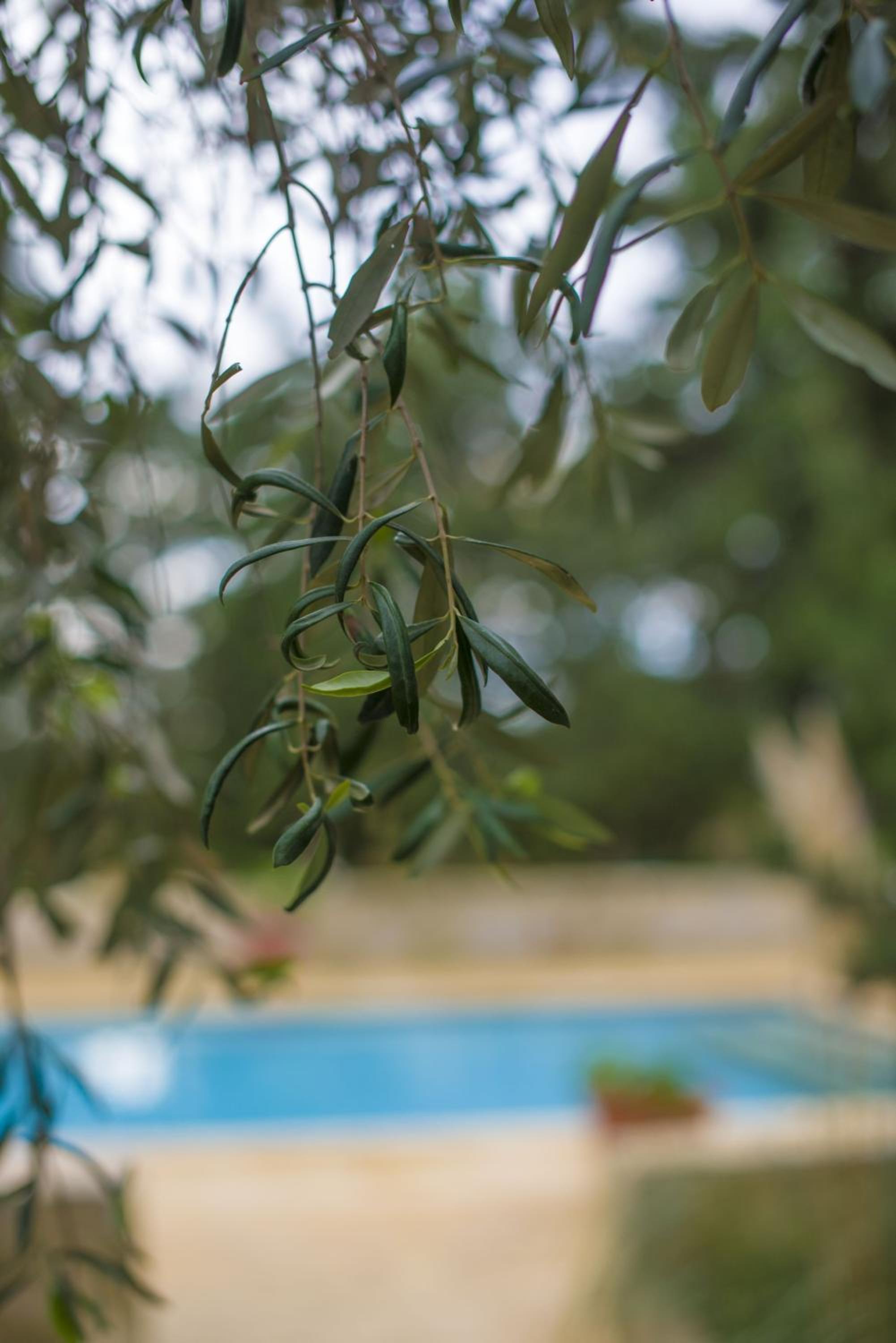 Ta' Bertu Host Family Bed & Breakfast