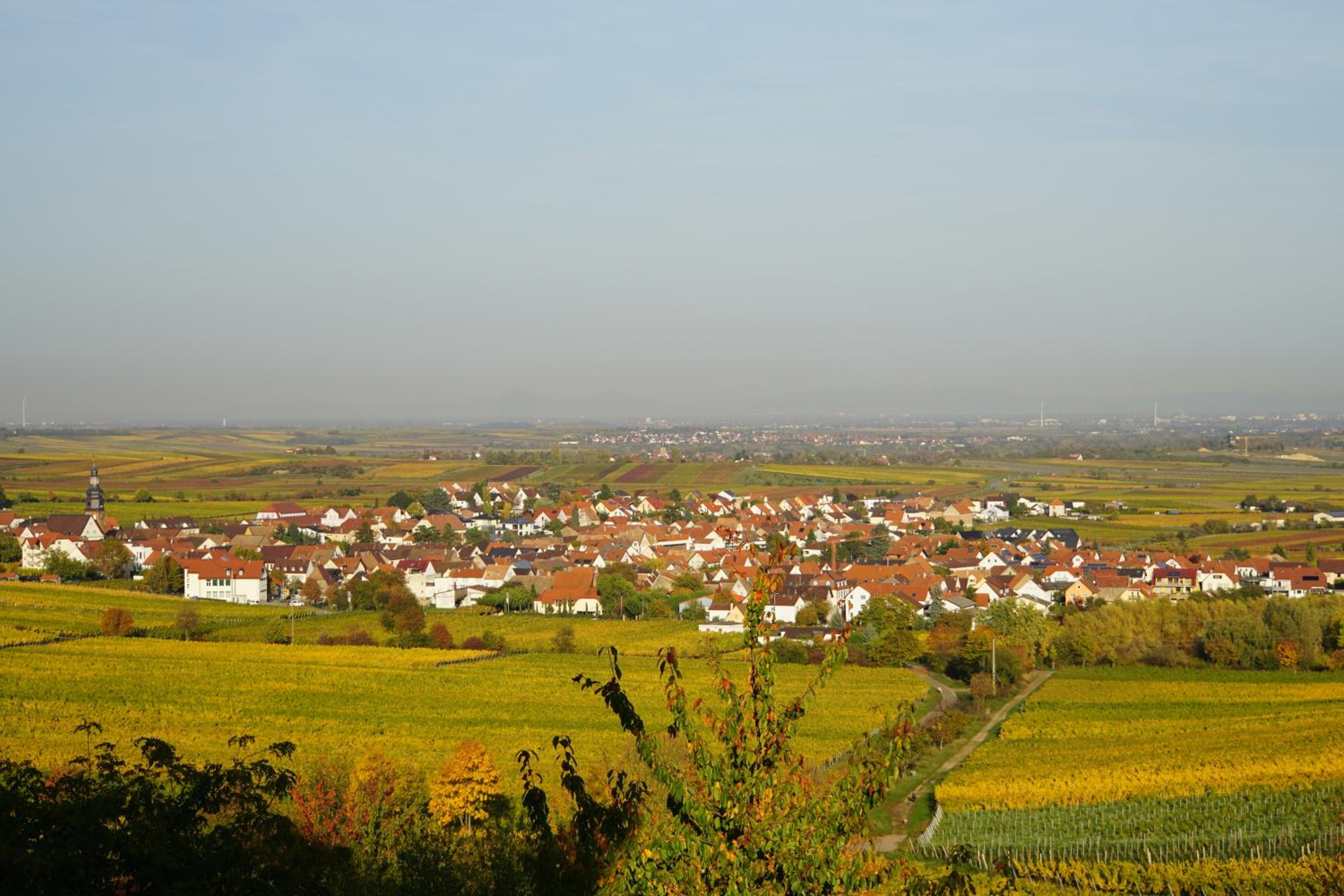 Ferienwohnung Knittel