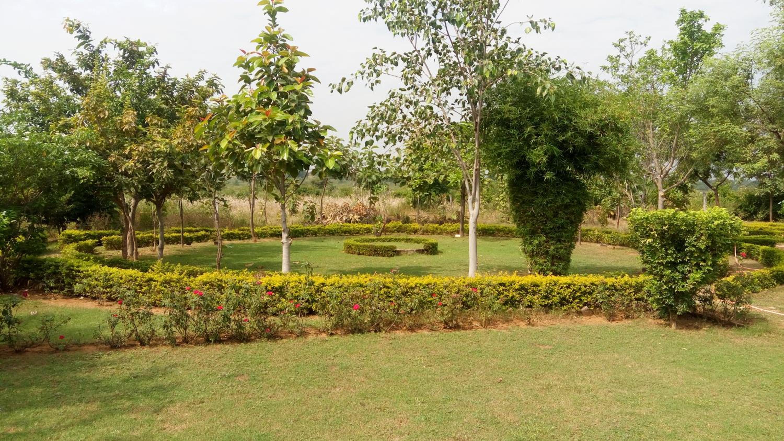 An Authentic Village Farm
