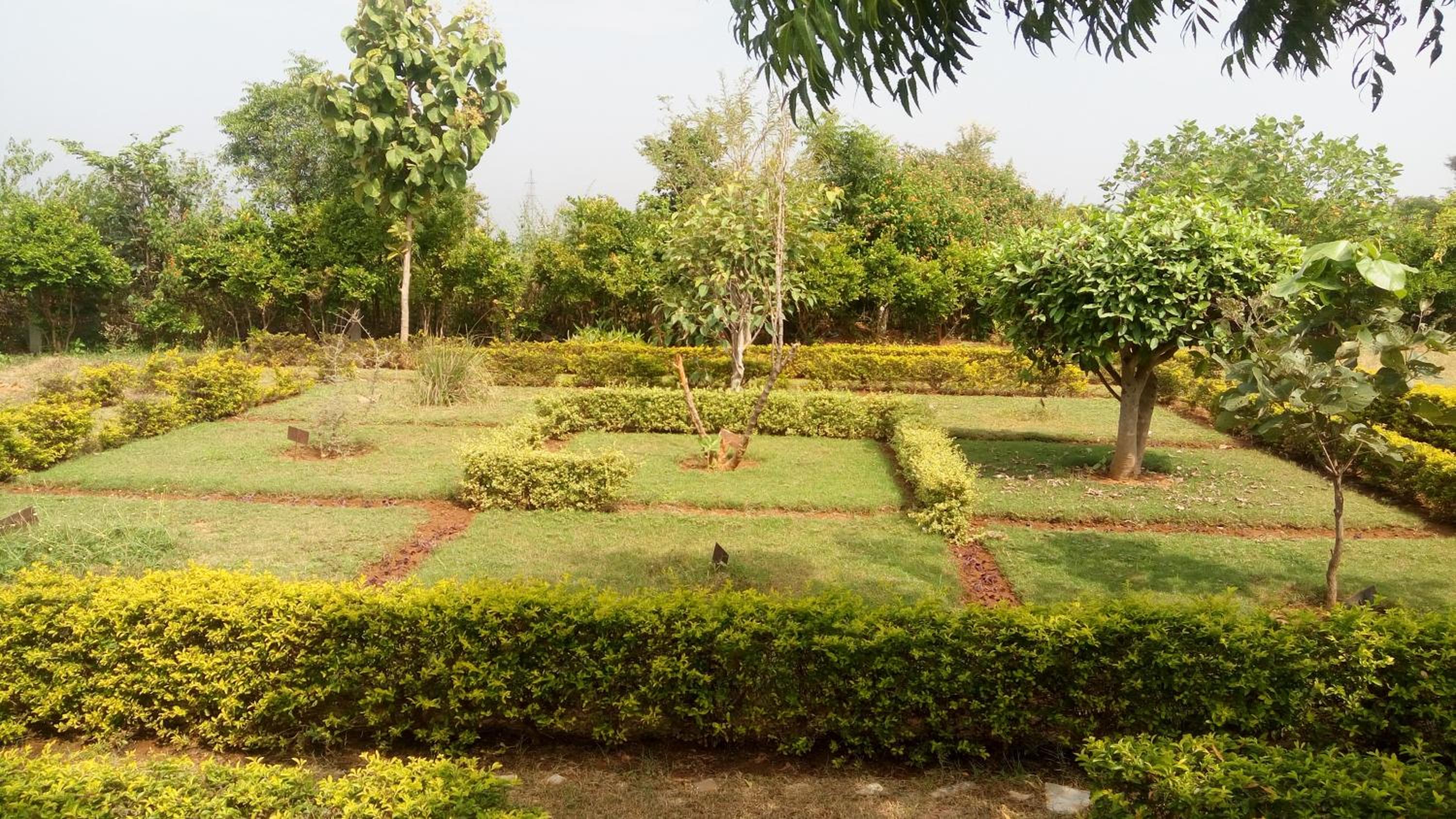 An Authentic Village Farm